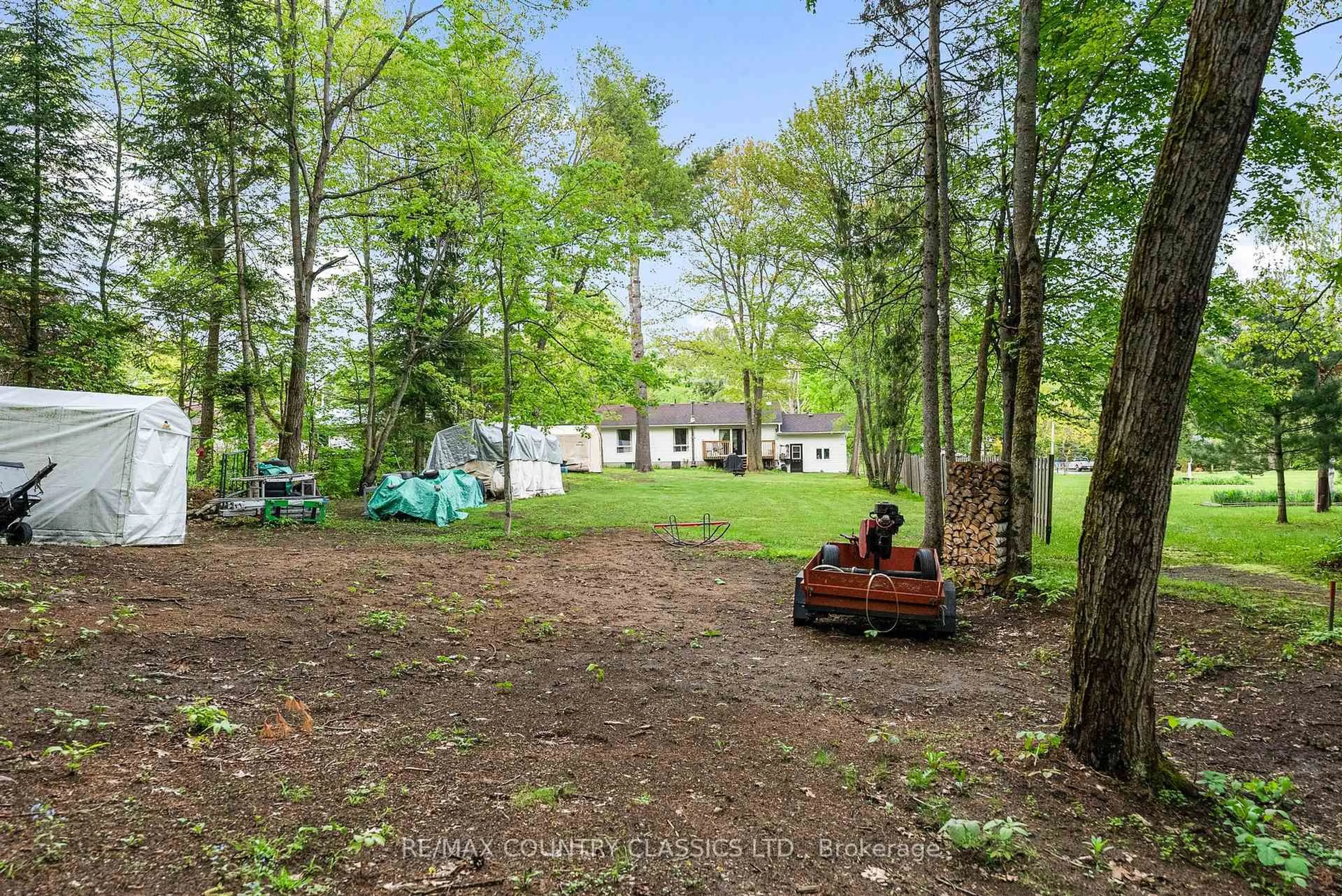 A pic from outside/outdoor area/front of a property/back of a property/a pic from drone, forest/trees view for 351 Chemaushgon Rd, Bancroft Ontario K0L 1C0