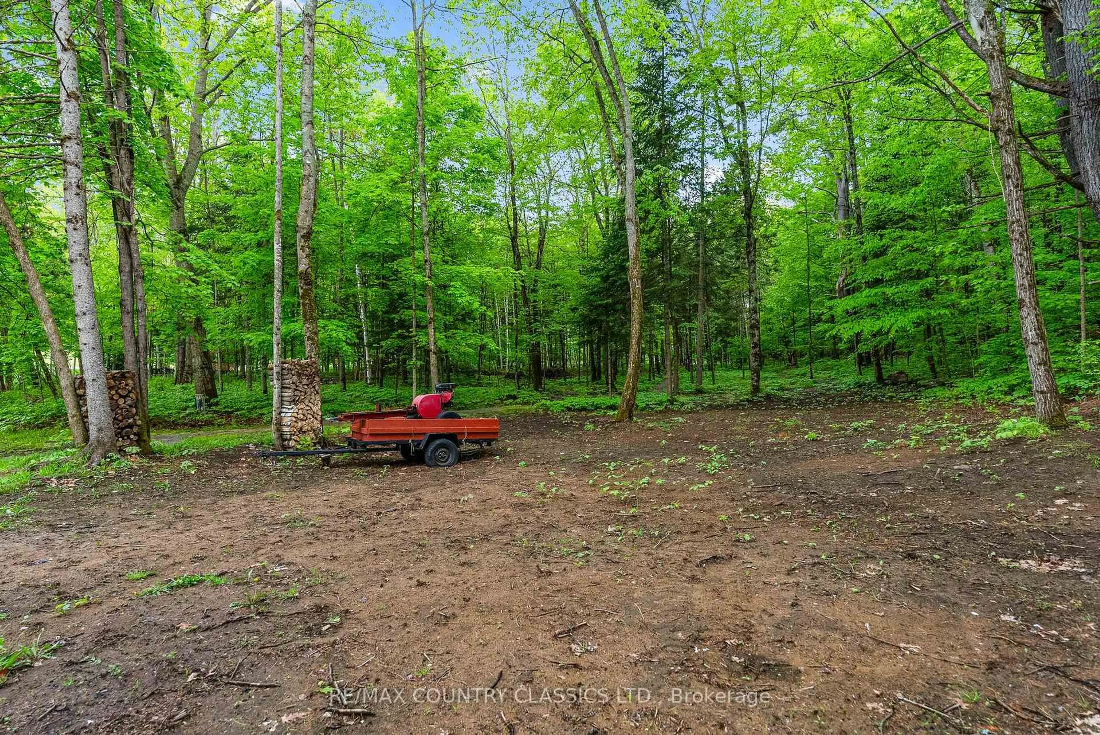 A pic from outside/outdoor area/front of a property/back of a property/a pic from drone, forest/trees view for 351 Chemaushgon Rd, Bancroft Ontario K0L 1C0