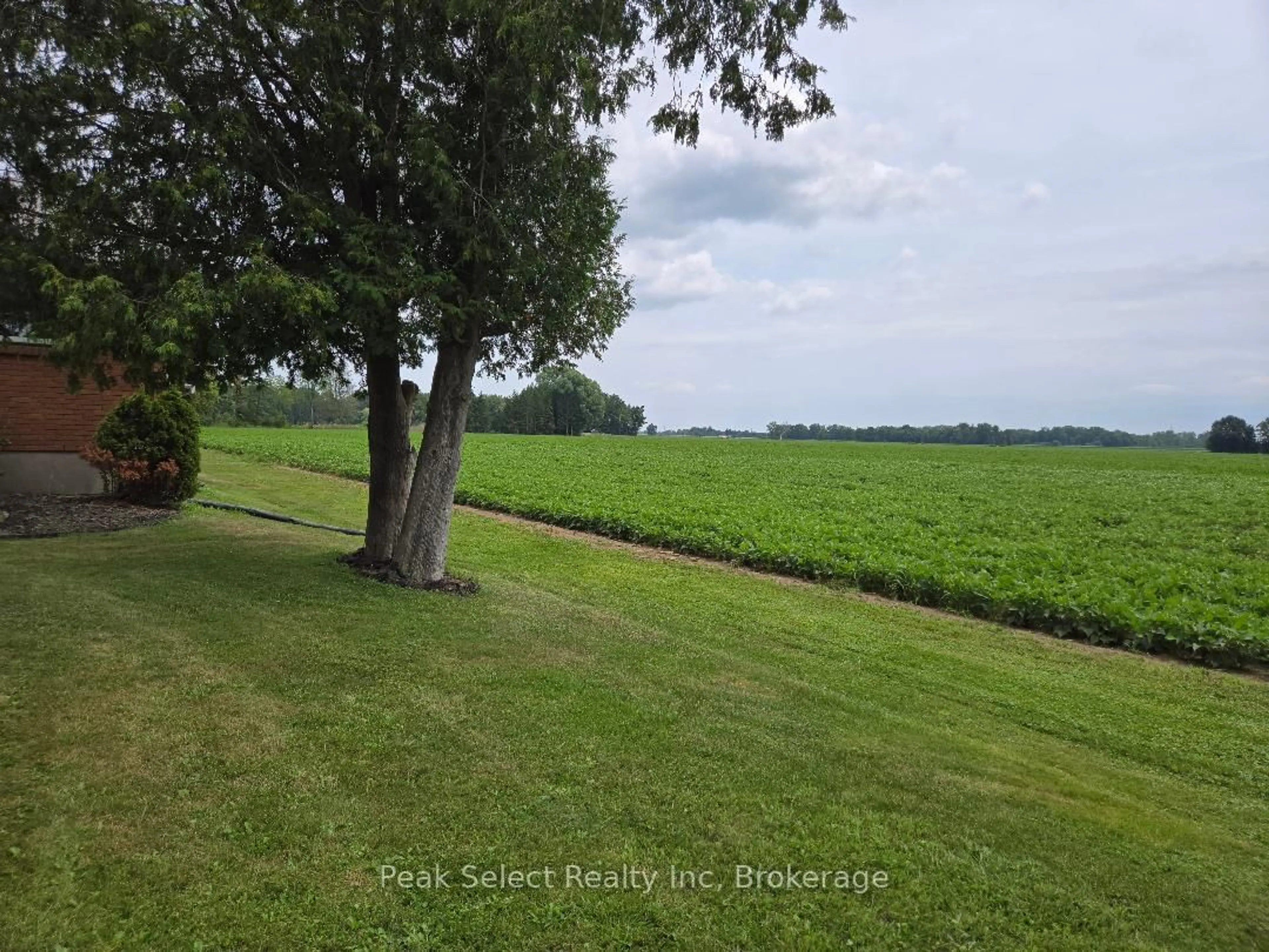 A pic from outside/outdoor area/front of a property/back of a property/a pic from drone, forest/trees view for 20328 Fairview Rd, Thames Centre Ontario N0M 2P0