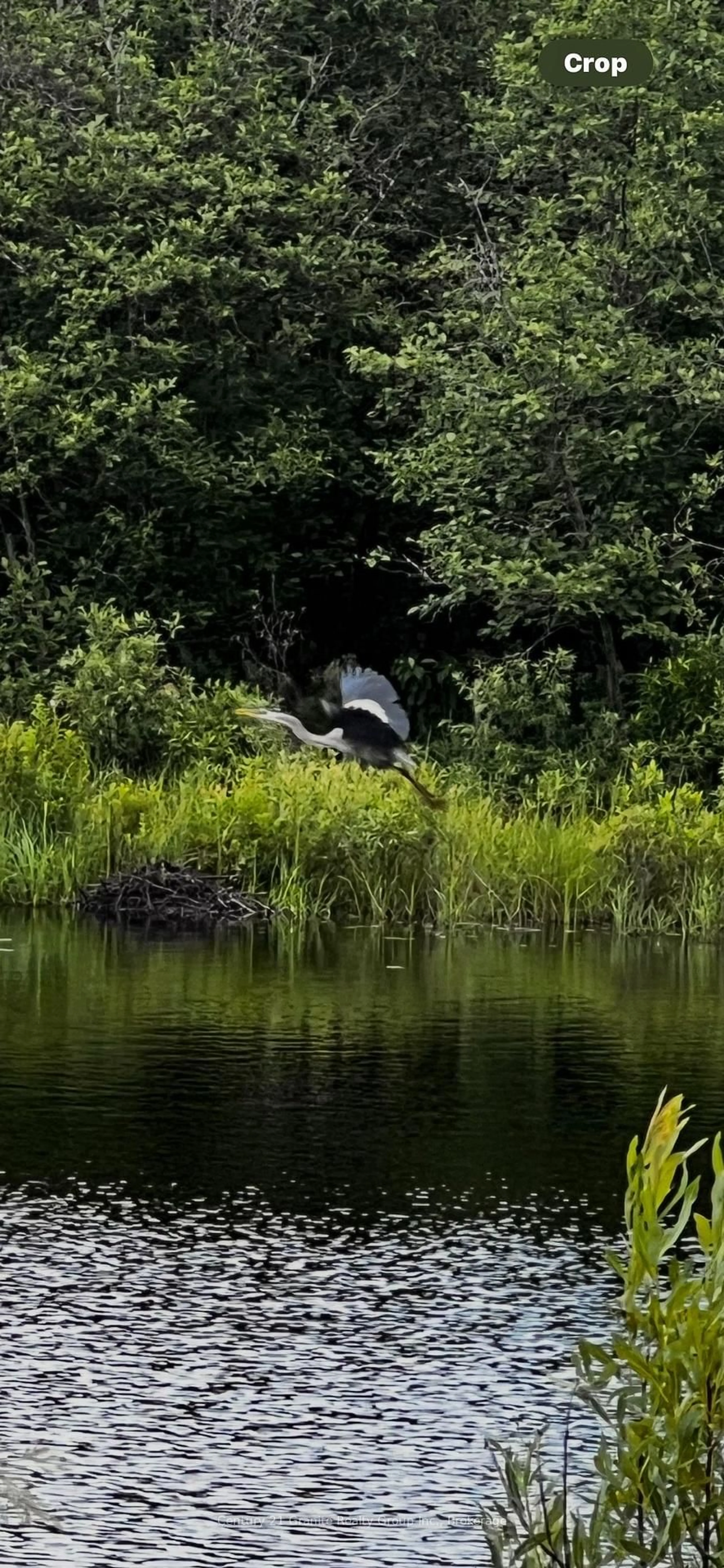 Blurry image for 10 Hillside Rd, Bancroft Ontario K0L 1C0