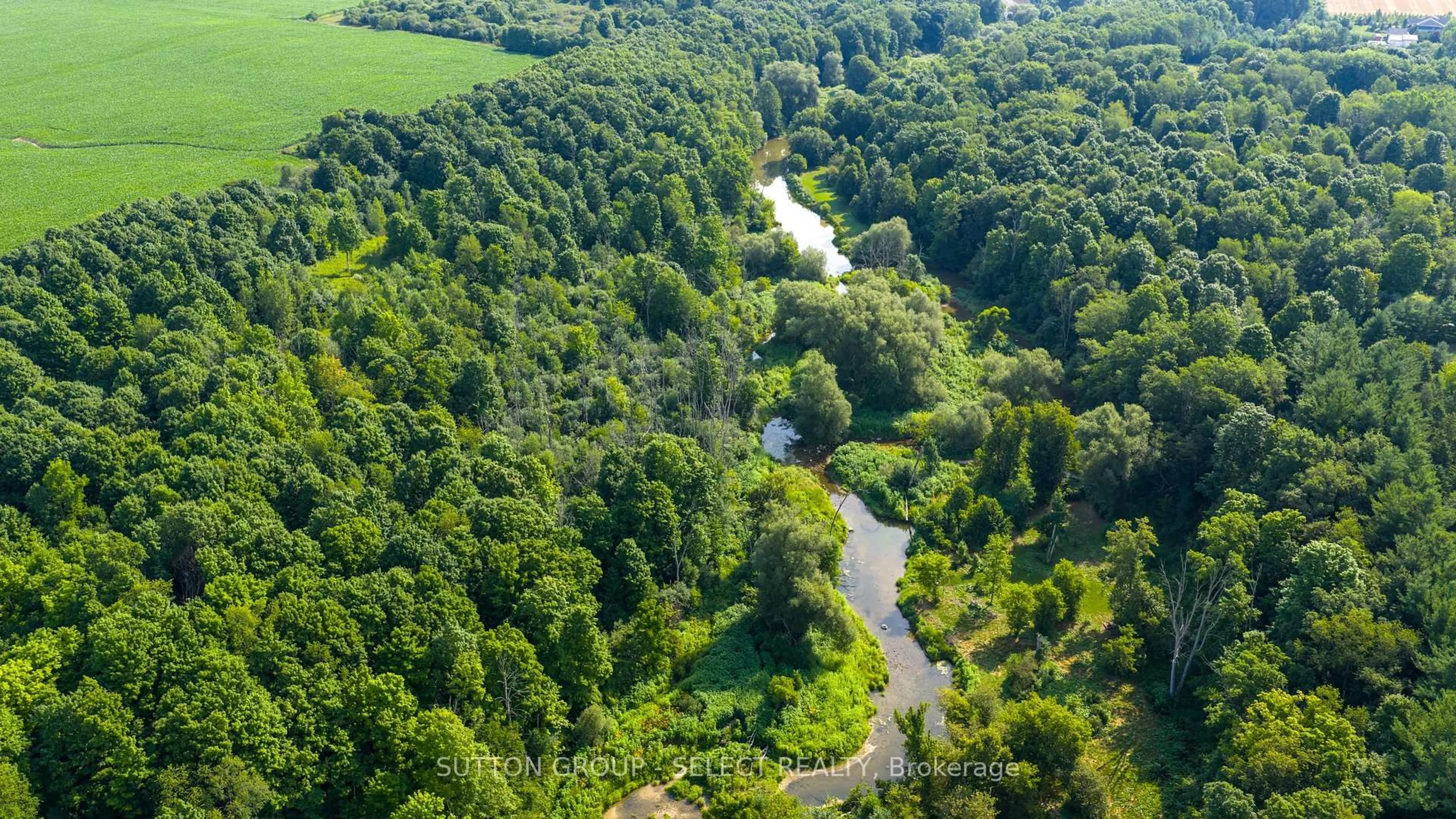 A pic from outside/outdoor area/front of a property/back of a property/a pic from drone, forest/trees view for 5686 William St, Lucan Biddulph Ontario N0M 2J0