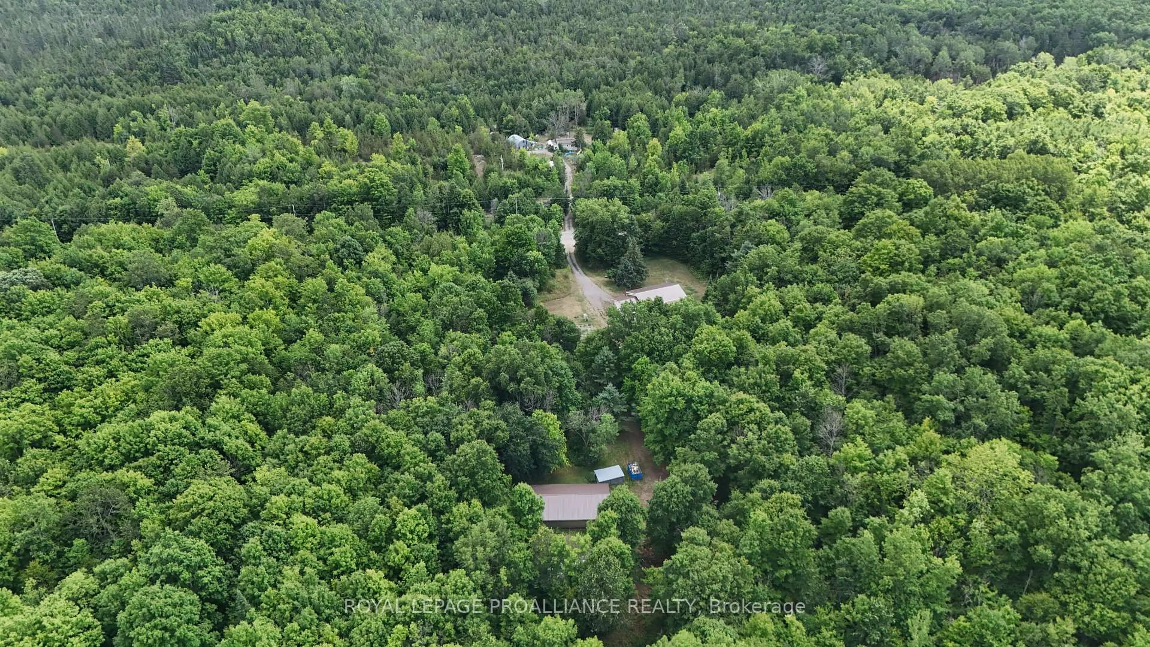 A pic from outside/outdoor area/front of a property/back of a property/a pic from drone, forest/trees view for 2201 Moneymore Rd, Belleville Ontario K0K 2Y0