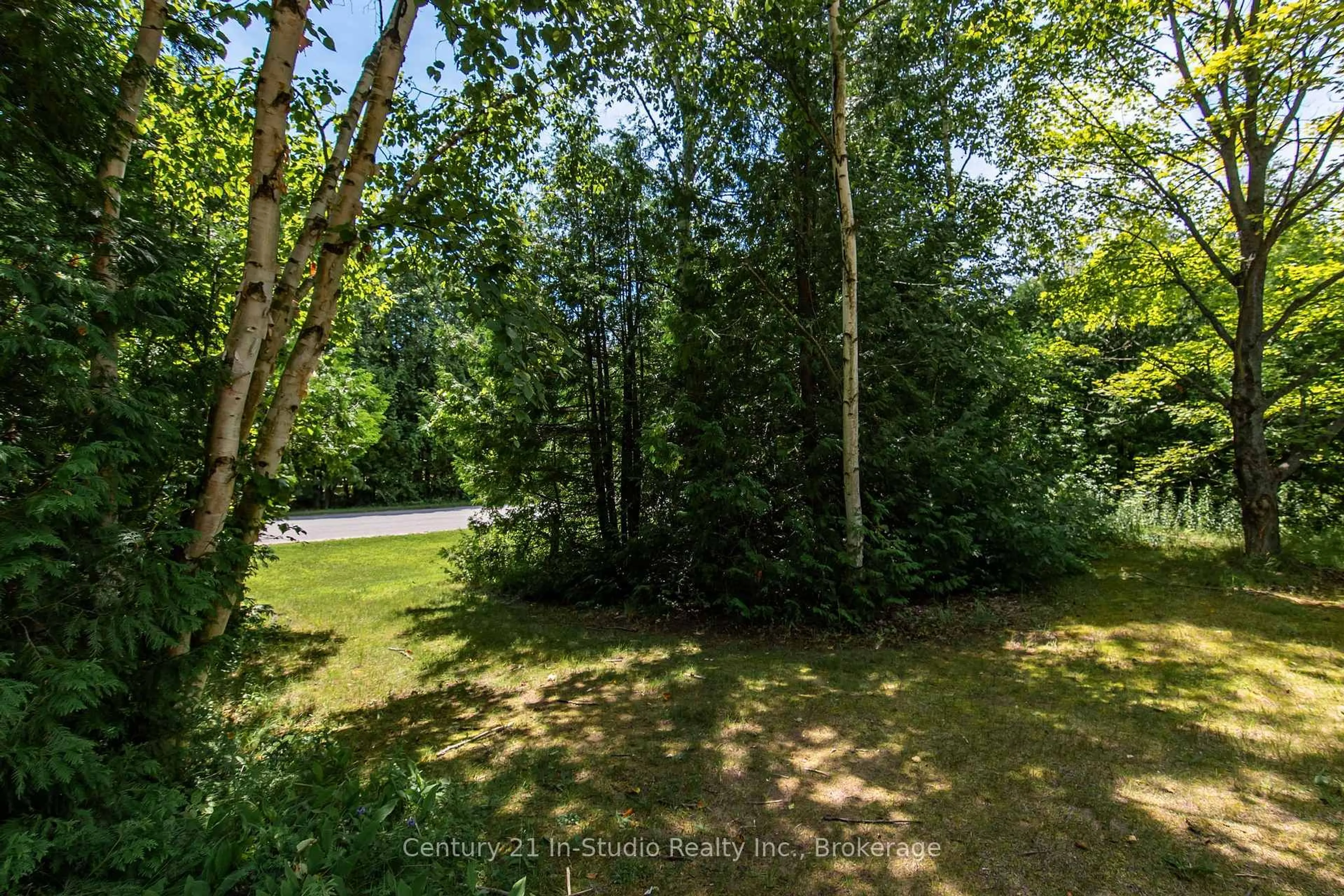A pic from outside/outdoor area/front of a property/back of a property/a pic from drone, forest/trees view for 51 Cardinal Ave, South Bruce Peninsula Ontario N0H 2T0