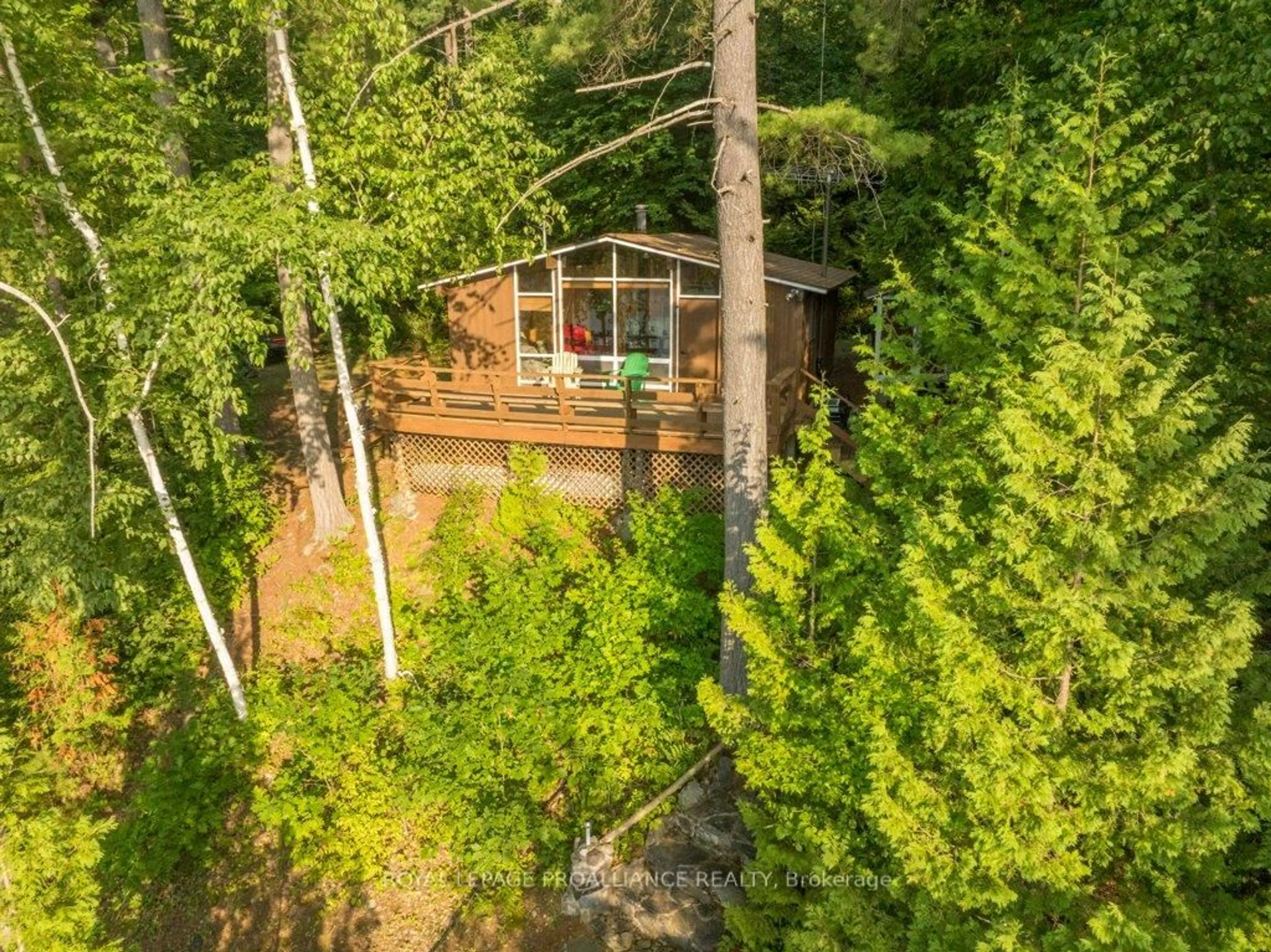 A pic from outside/outdoor area/front of a property/back of a property/a pic from drone, forest/trees view for 1441A South Kash Lake Lane, Arden Ontario K0H 1B0