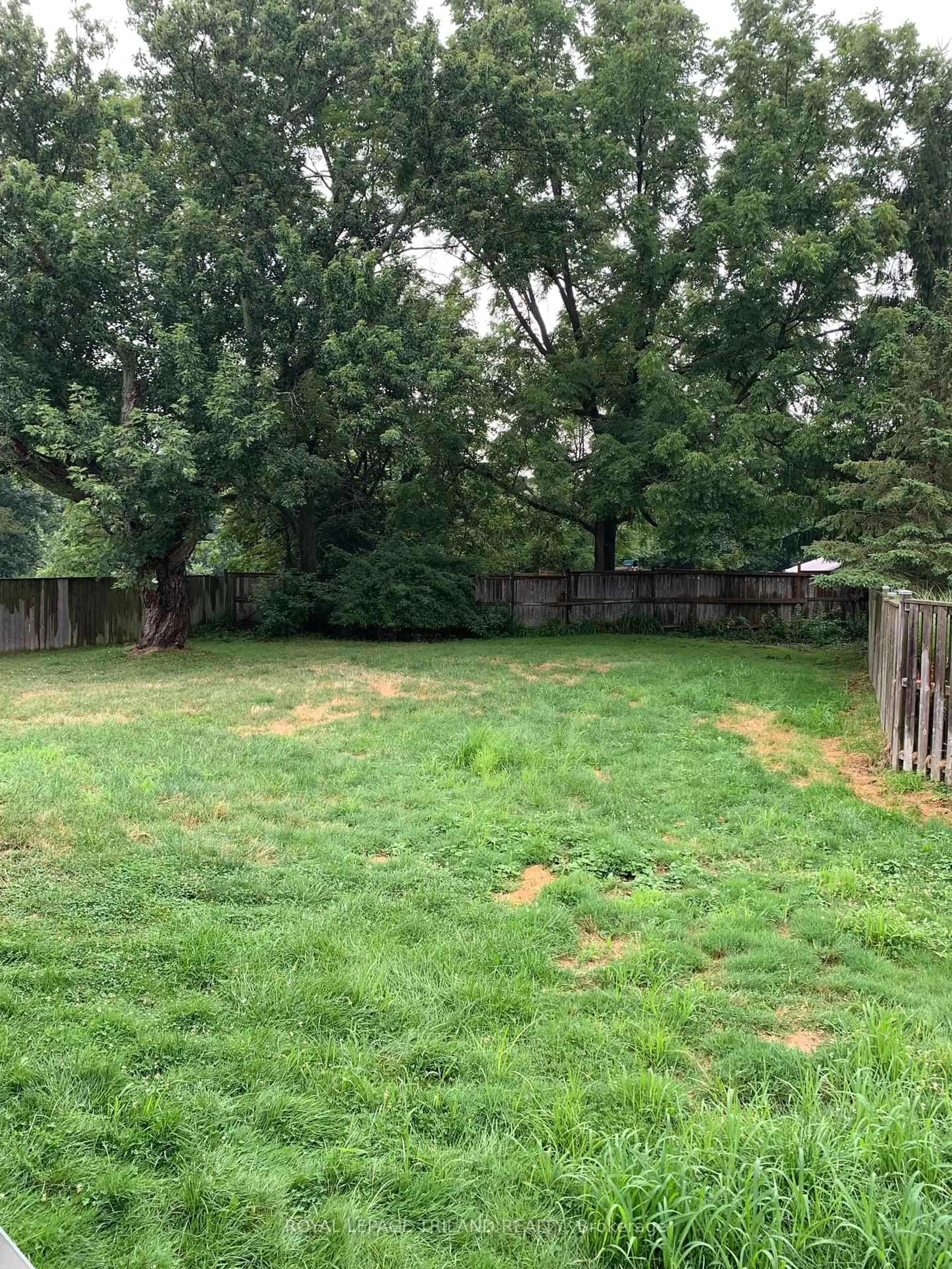 A pic from outside/outdoor area/front of a property/back of a property/a pic from drone, forest/trees view for 42606 JOHNATHON St, Central Elgin Ontario N0L 2L0