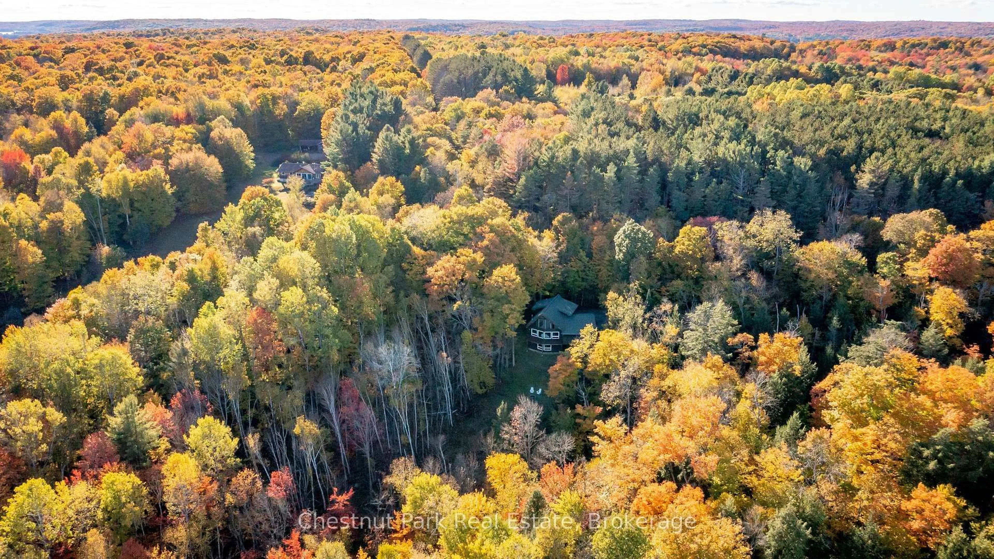 A pic from outside/outdoor area/front of a property/back of a property/a pic from drone, forest/trees view for 1033 Point Ideal Rd, Lake of Bays Ontario P0A 1H0