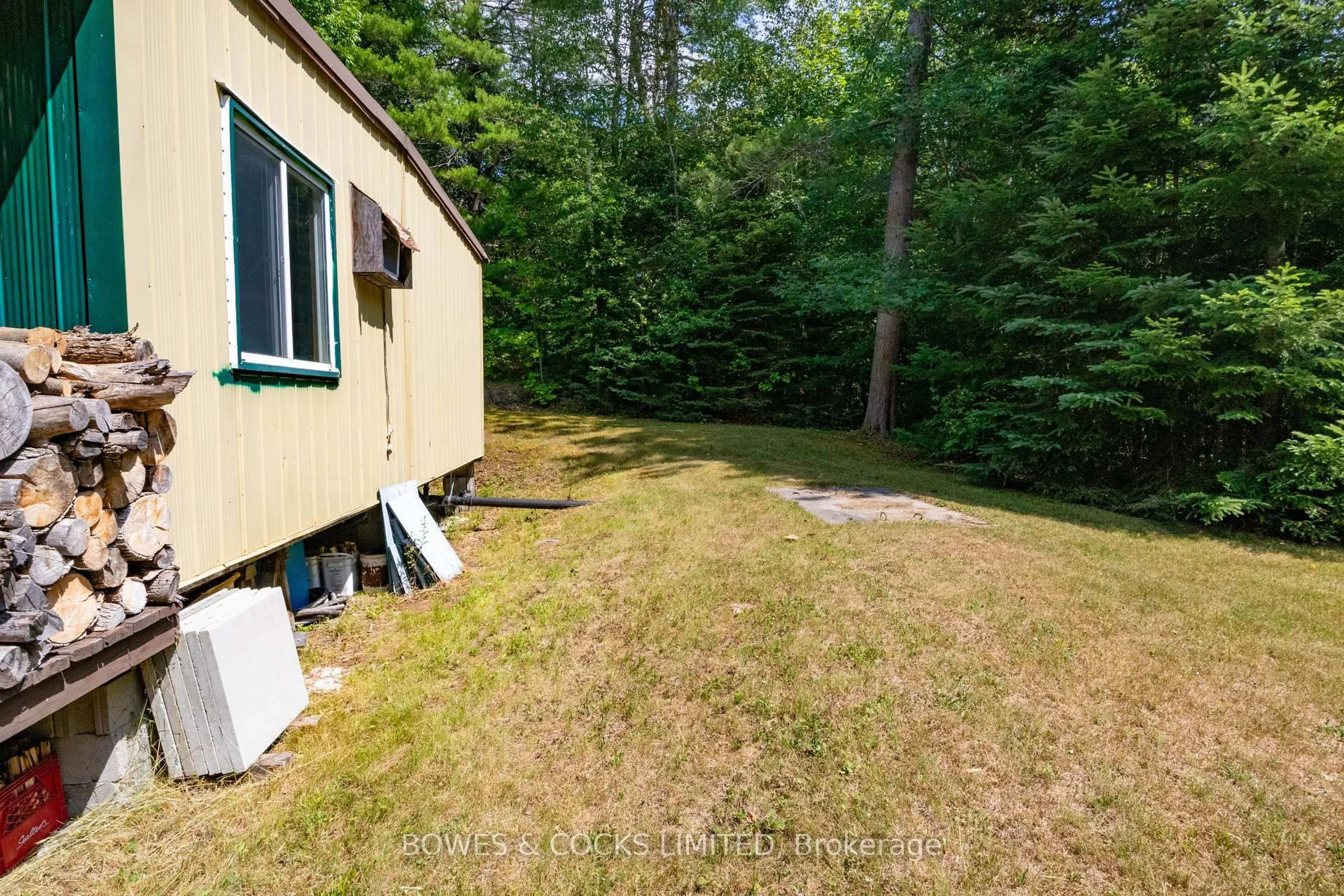 A pic from outside/outdoor area/front of a property/back of a property/a pic from drone, forest/trees view for 12916 Highway 28, North Kawartha Ontario K0L 1A0