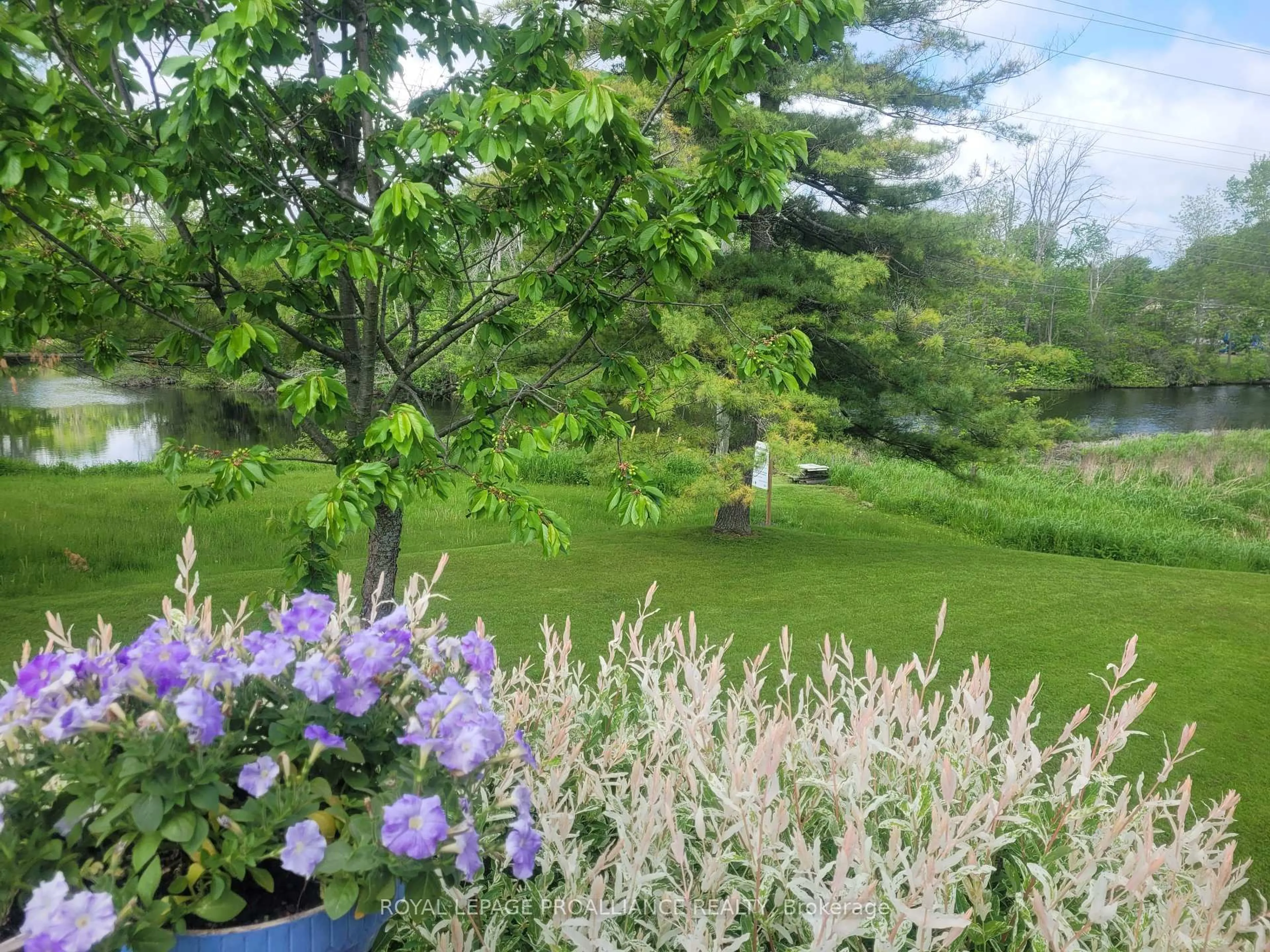 Patio, forest/trees view for 381 Huffman St, Greater Napanee Ontario K7R 1A8
