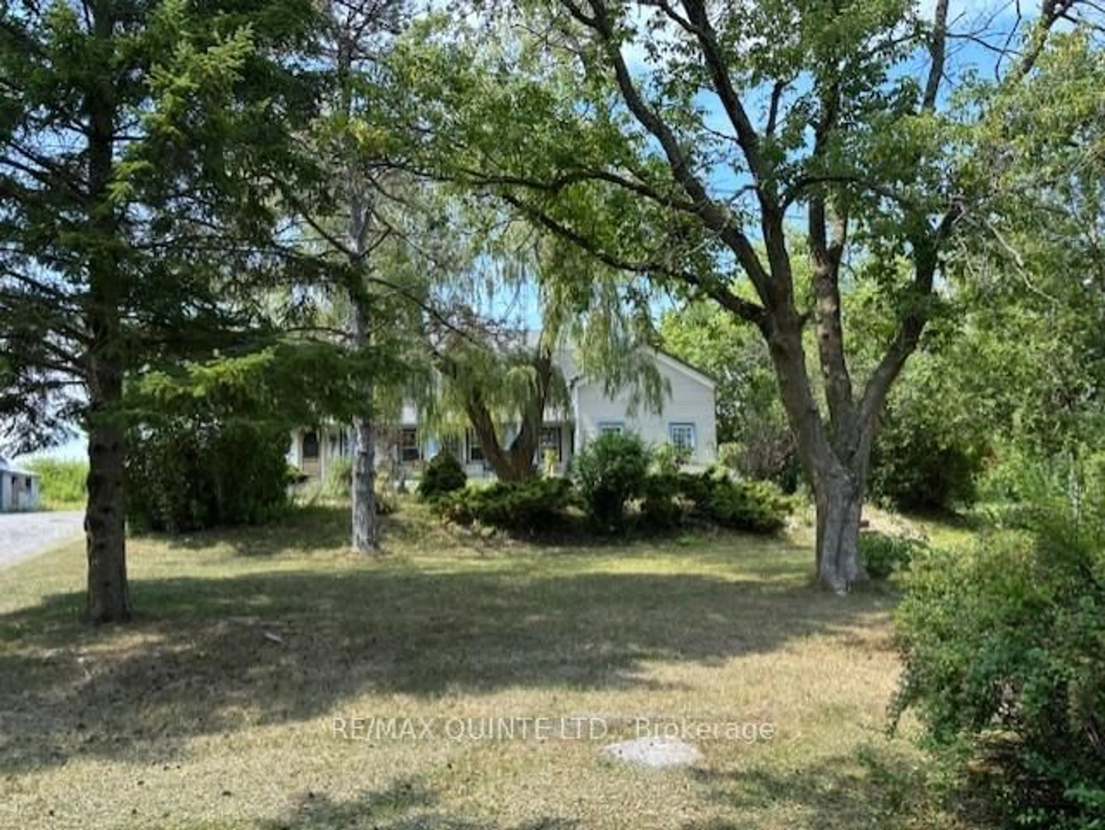 A pic from outside/outdoor area/front of a property/back of a property/a pic from drone, forest/trees view for 61 Sine Rd, Stirling Ontario K0K 3E0
