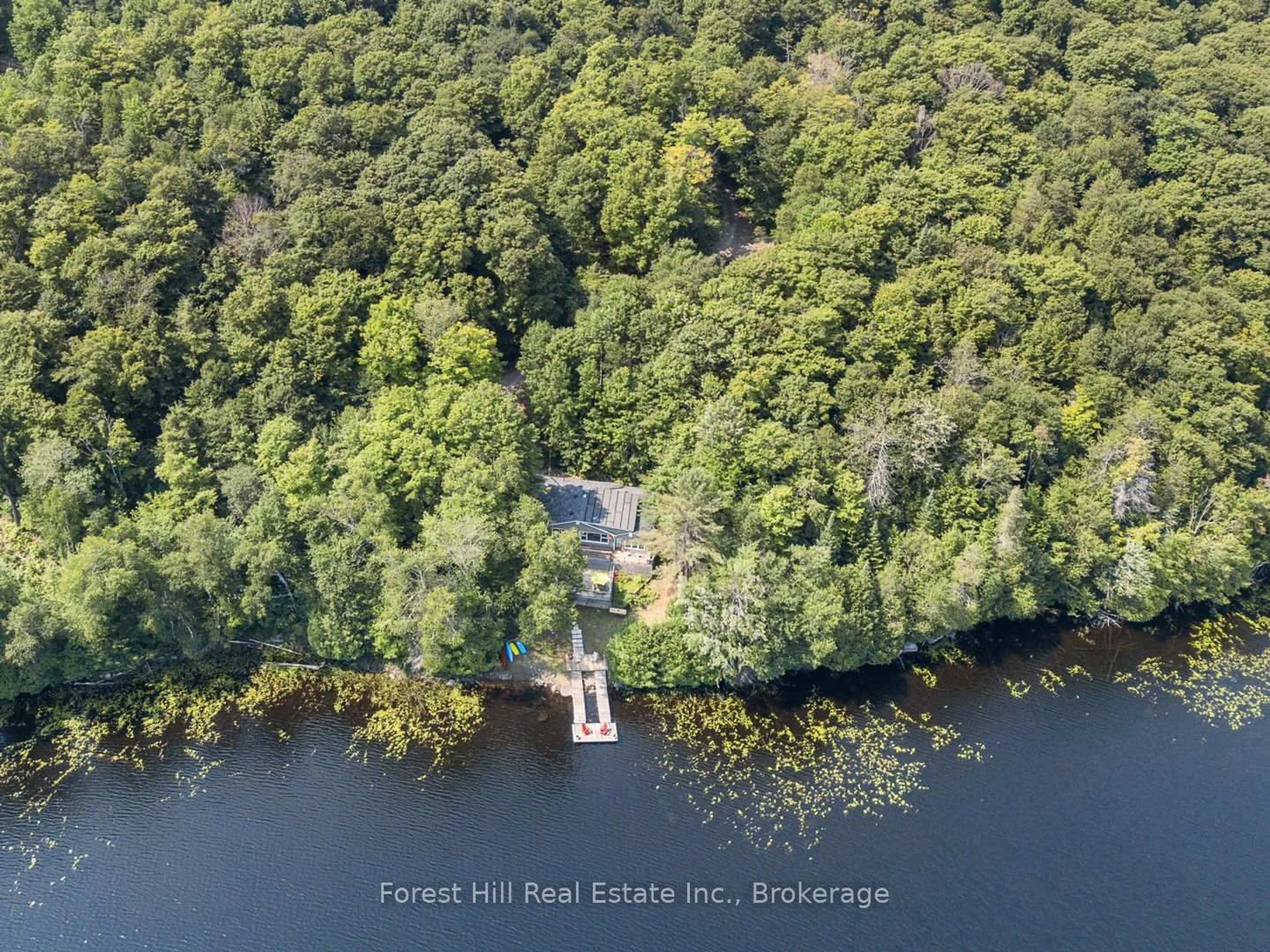 A pic from outside/outdoor area/front of a property/back of a property/a pic from drone, water/lake/river/ocean view for 3477 Livingstone Lake Rd, Algonquin Highlands Ontario P0A 1E0