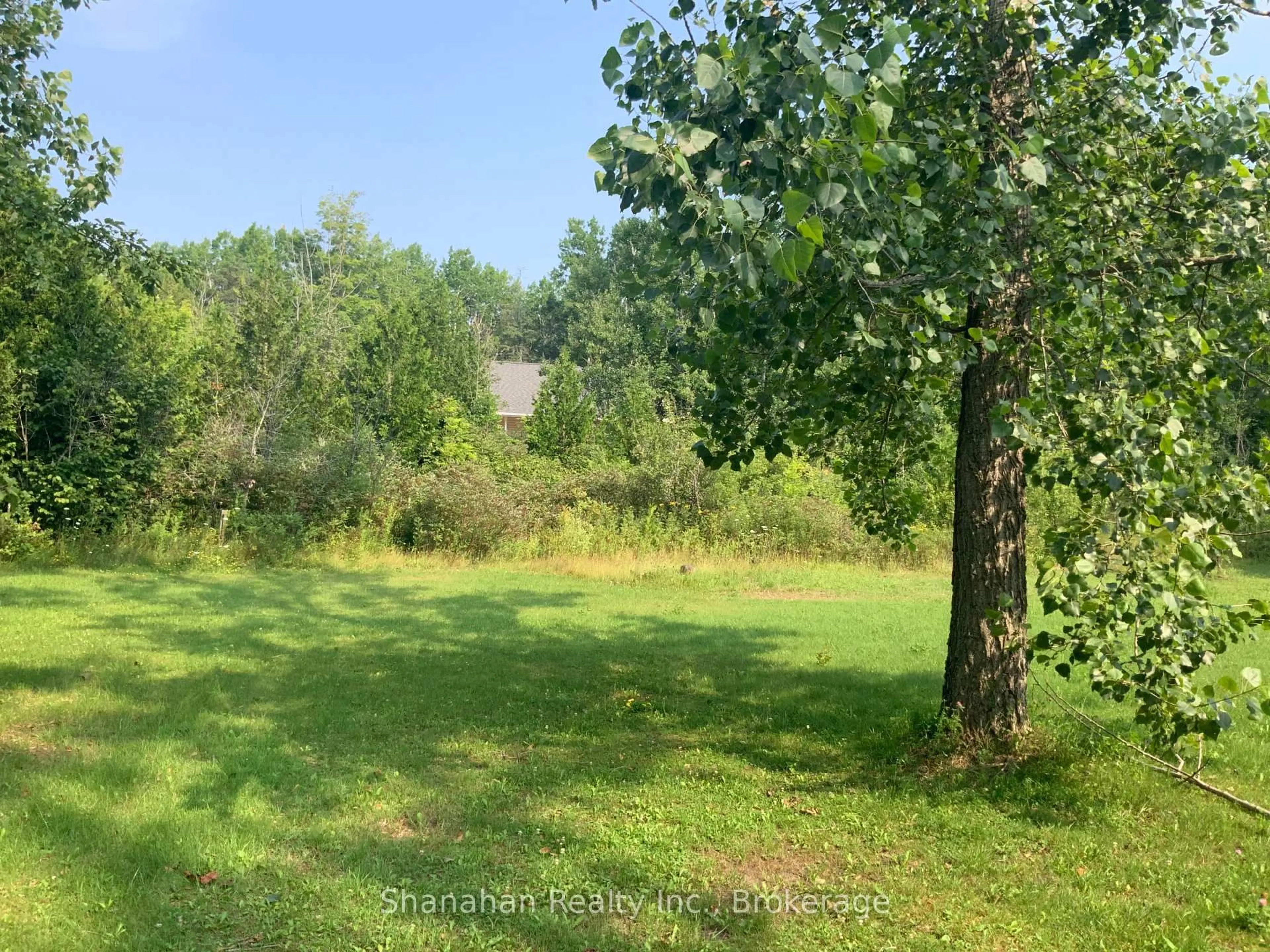 A pic from outside/outdoor area/front of a property/back of a property/a pic from drone, forest/trees view for 20 Cape Hurd Rd, Northern Bruce Peninsula Ontario N0H 2R0
