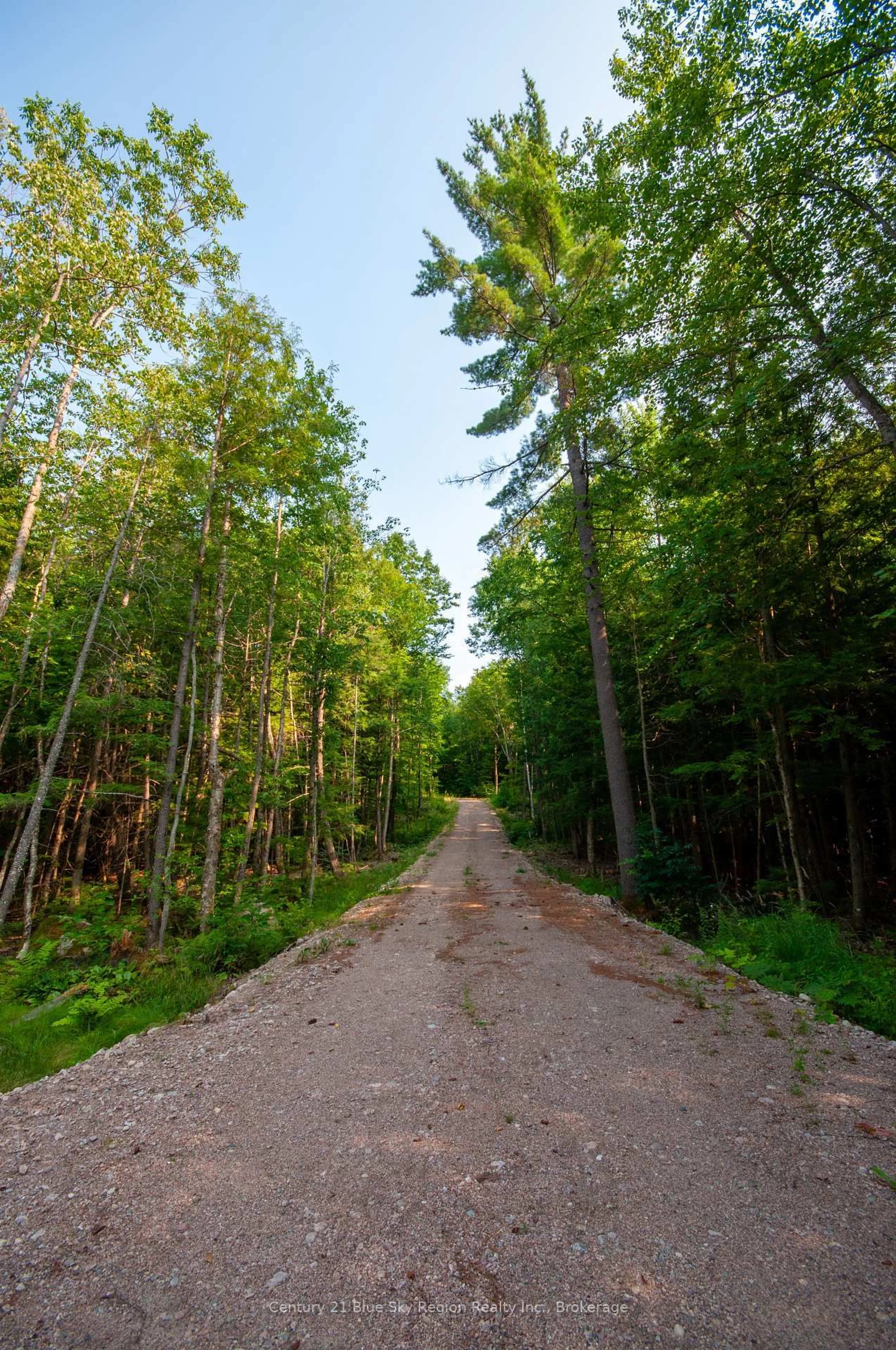 Blurry image for LOT 16 GRAND DESERT Rd, Bonfield Ontario P0H 1E0