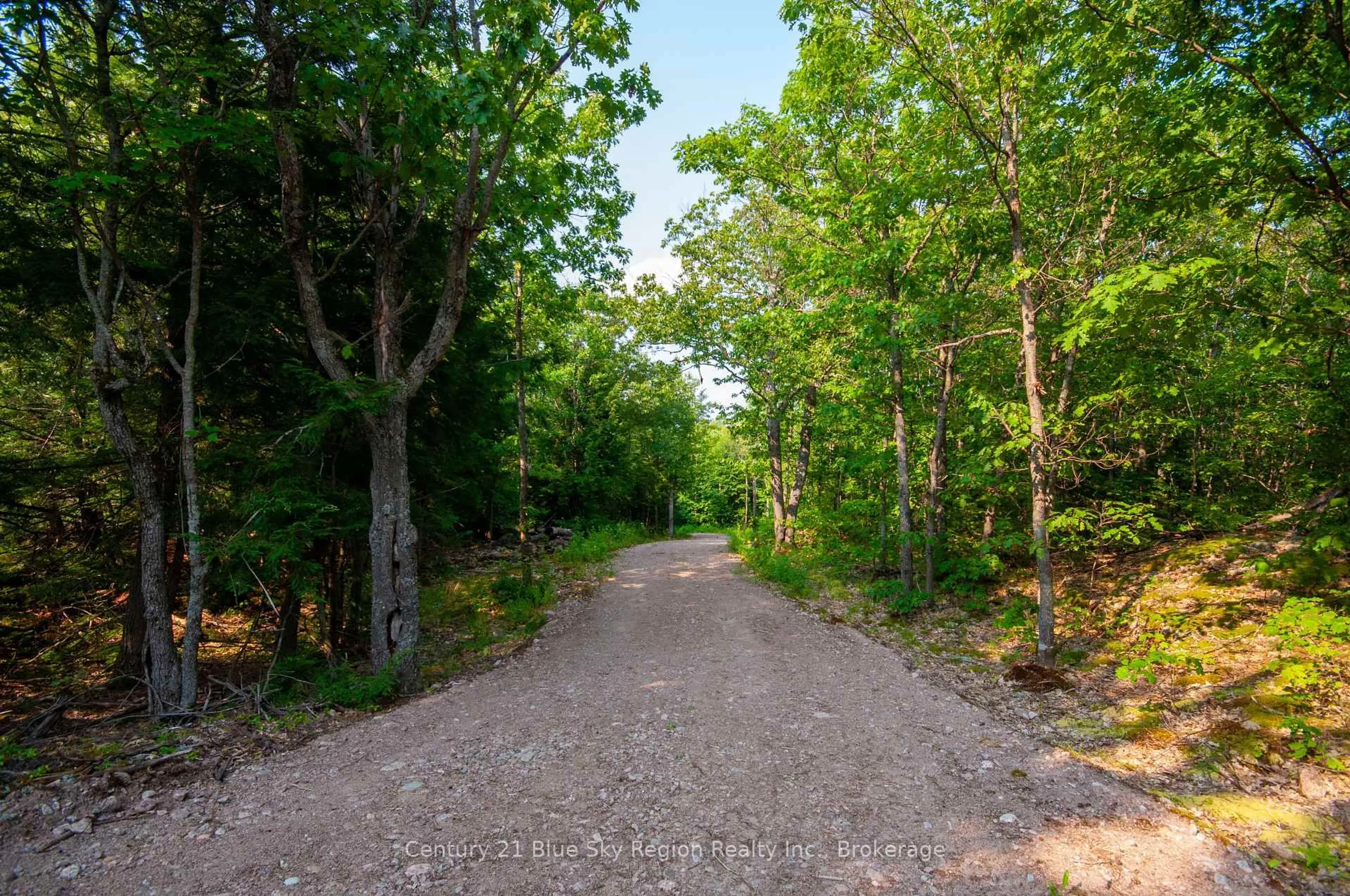 Patio, forest/trees view for LOT 16 GRAND DESERT Rd, Bonfield Ontario P0H 1E0