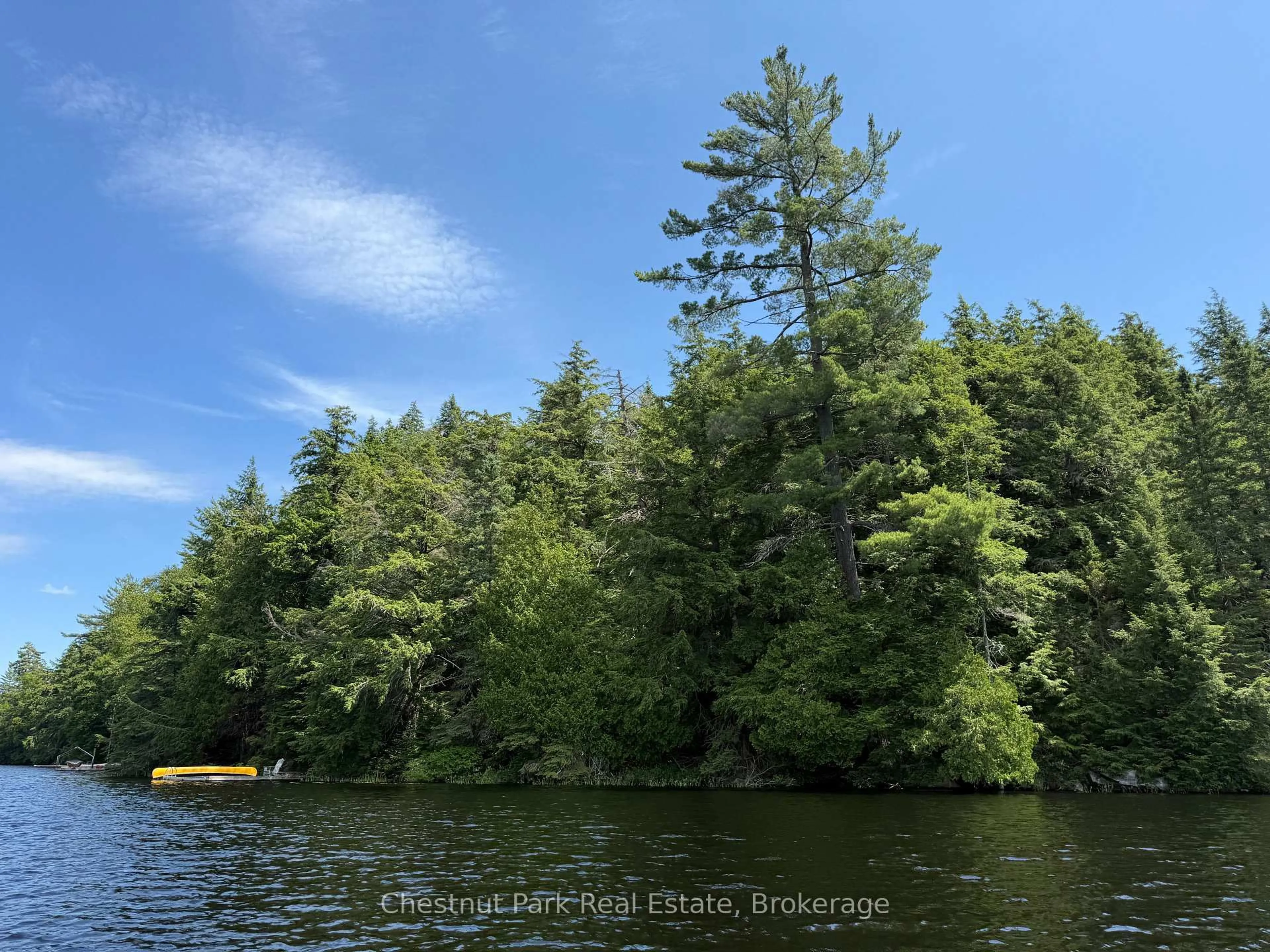 Blurry image for 19 Cache Lake #APL1136E, South Algonquin Ontario P0A 1H0