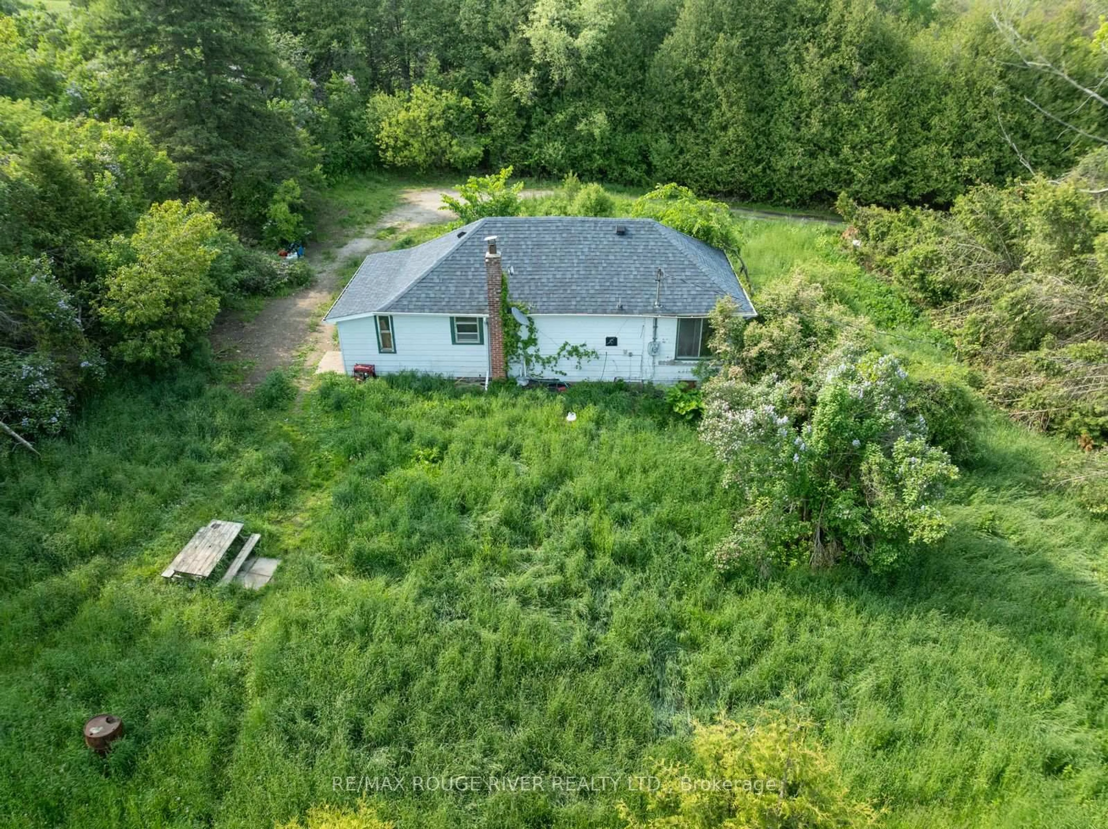 A pic from outside/outdoor area/front of a property/back of a property/a pic from drone, forest/trees view for 15 Capstick Rd, Kawartha Lakes Ontario L0A 1A0