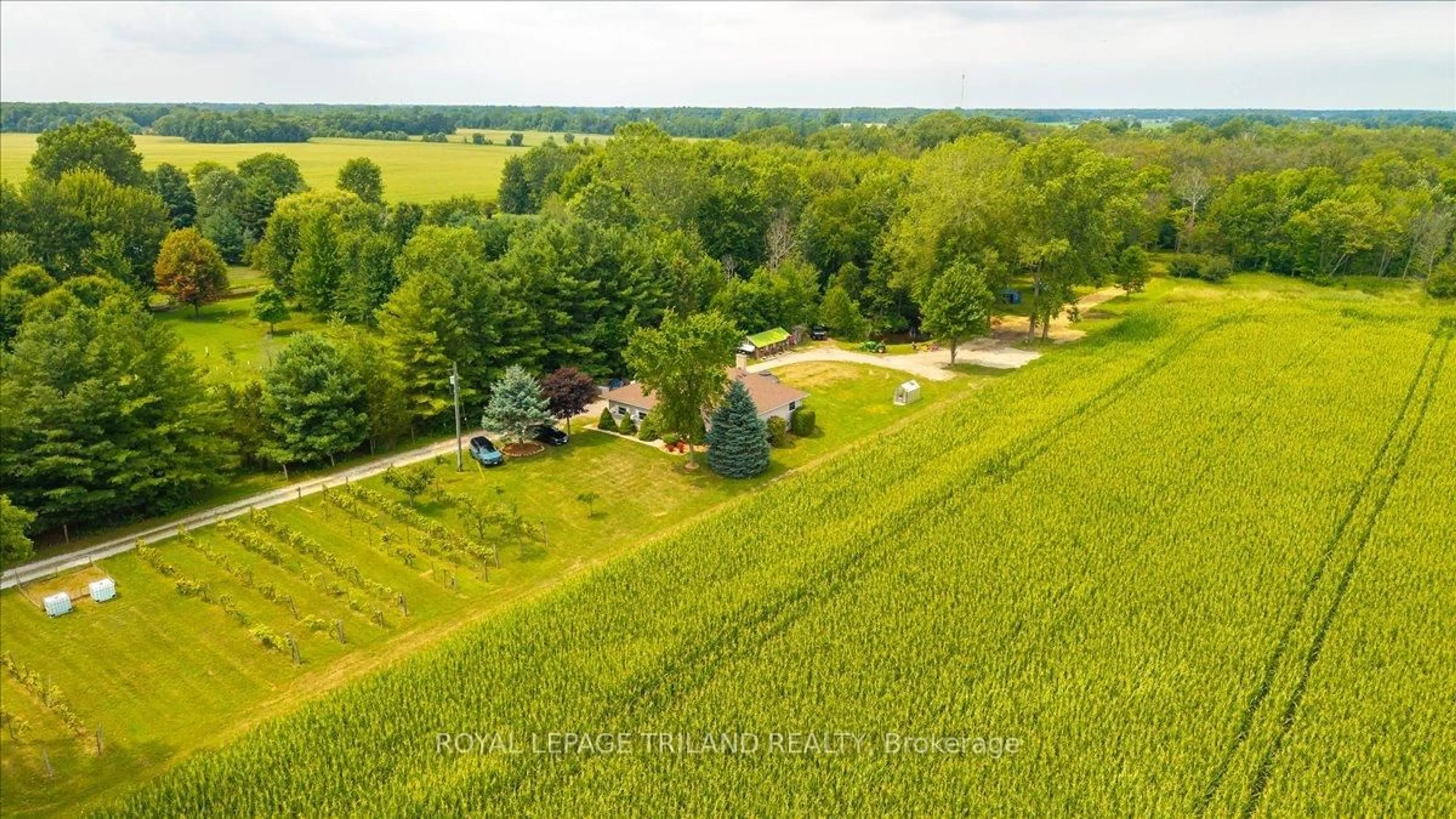 A pic from outside/outdoor area/front of a property/back of a property/a pic from drone, unknown for 26820 Marsh Line, Dutton/Dunwich Ontario N0L 1J0