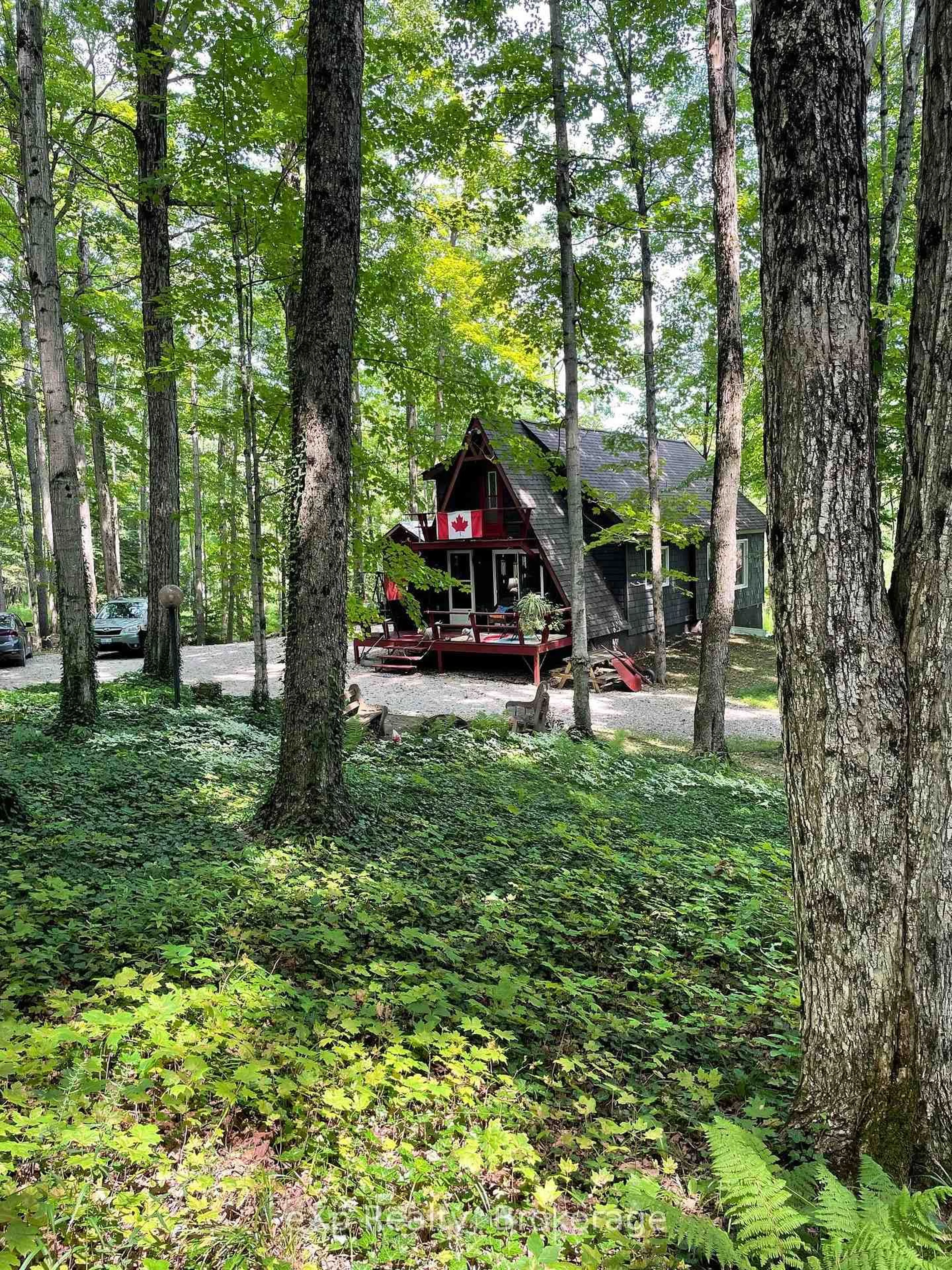 A pic from outside/outdoor area/front of a property/back of a property/a pic from drone, forest/trees view for 214339 BASELINE Rd, West Grey Ontario N0G 1S0