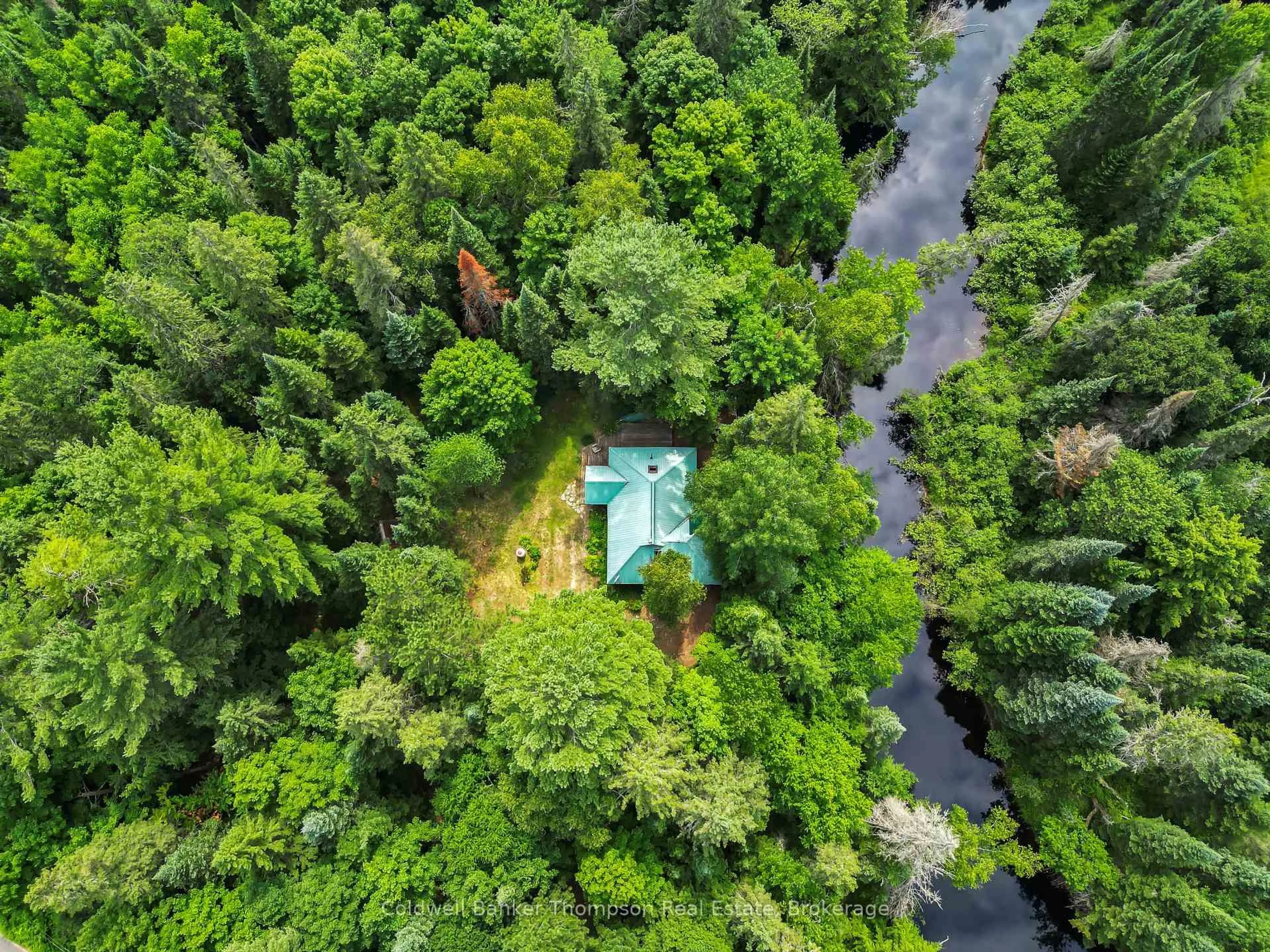 A pic from outside/outdoor area/front of a property/back of a property/a pic from drone, forest/trees view for 3575 Ravenscliffe Rd, Huntsville Ontario P1H 2J2