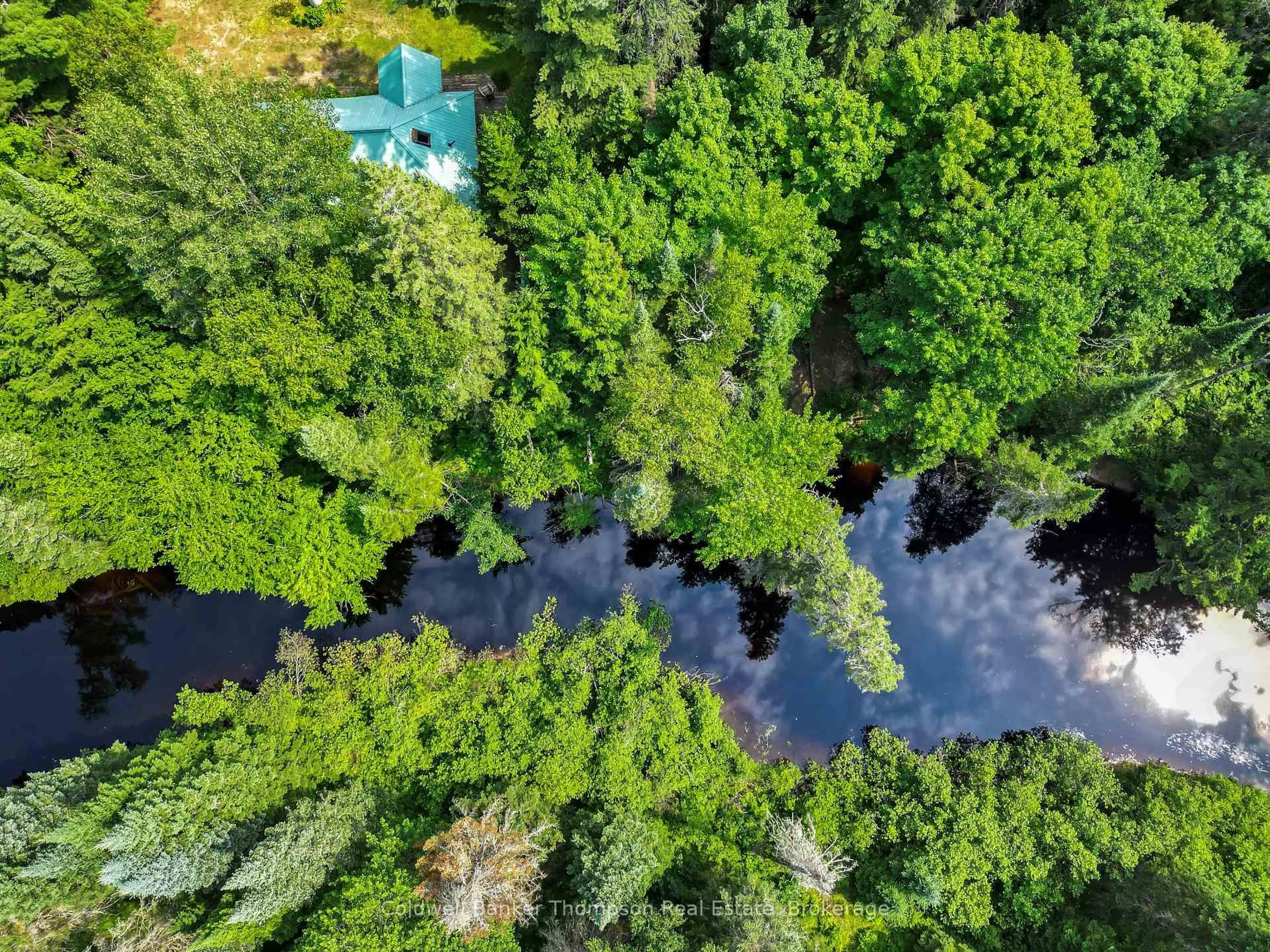 A pic from outside/outdoor area/front of a property/back of a property/a pic from drone, forest/trees view for 3575 Ravenscliffe Rd, Huntsville Ontario P1H 2J2