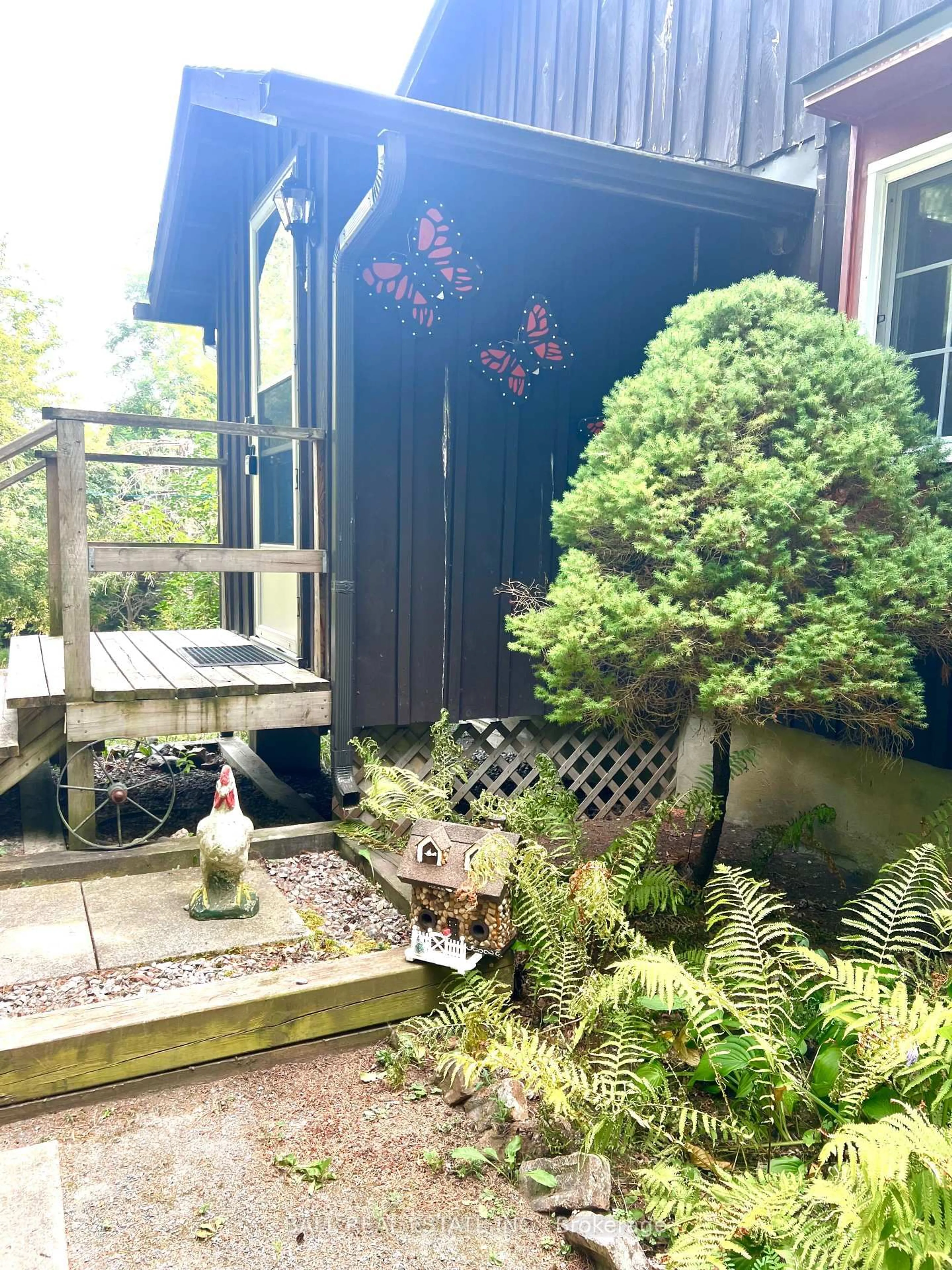 Patio, street for 523 Concession 8w Rd, Trent Hills Ontario K0L 1Y0