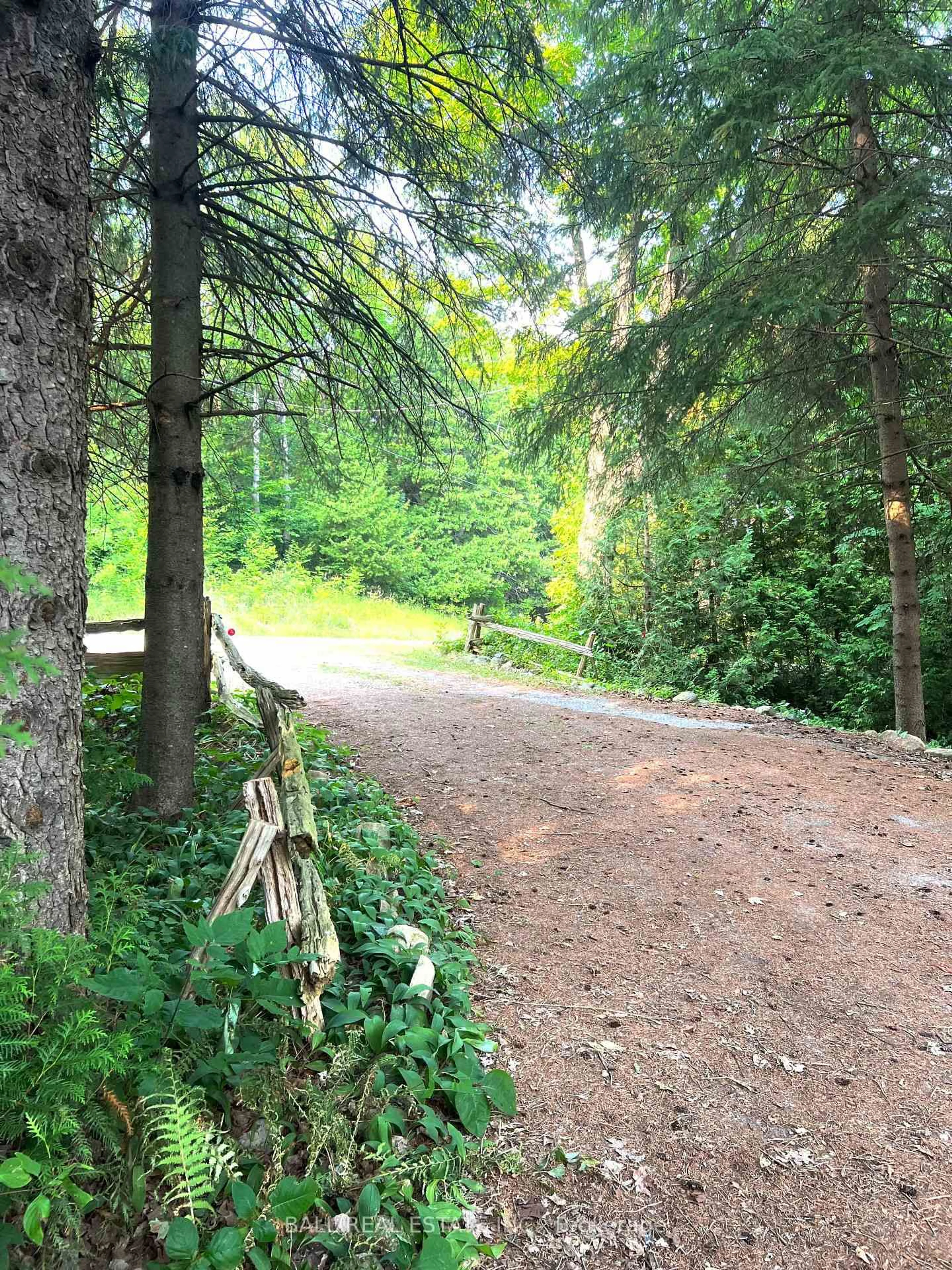 A pic from outside/outdoor area/front of a property/back of a property/a pic from drone, forest/trees view for 523 Concession 8w Rd, Trent Hills Ontario K0L 1Y0