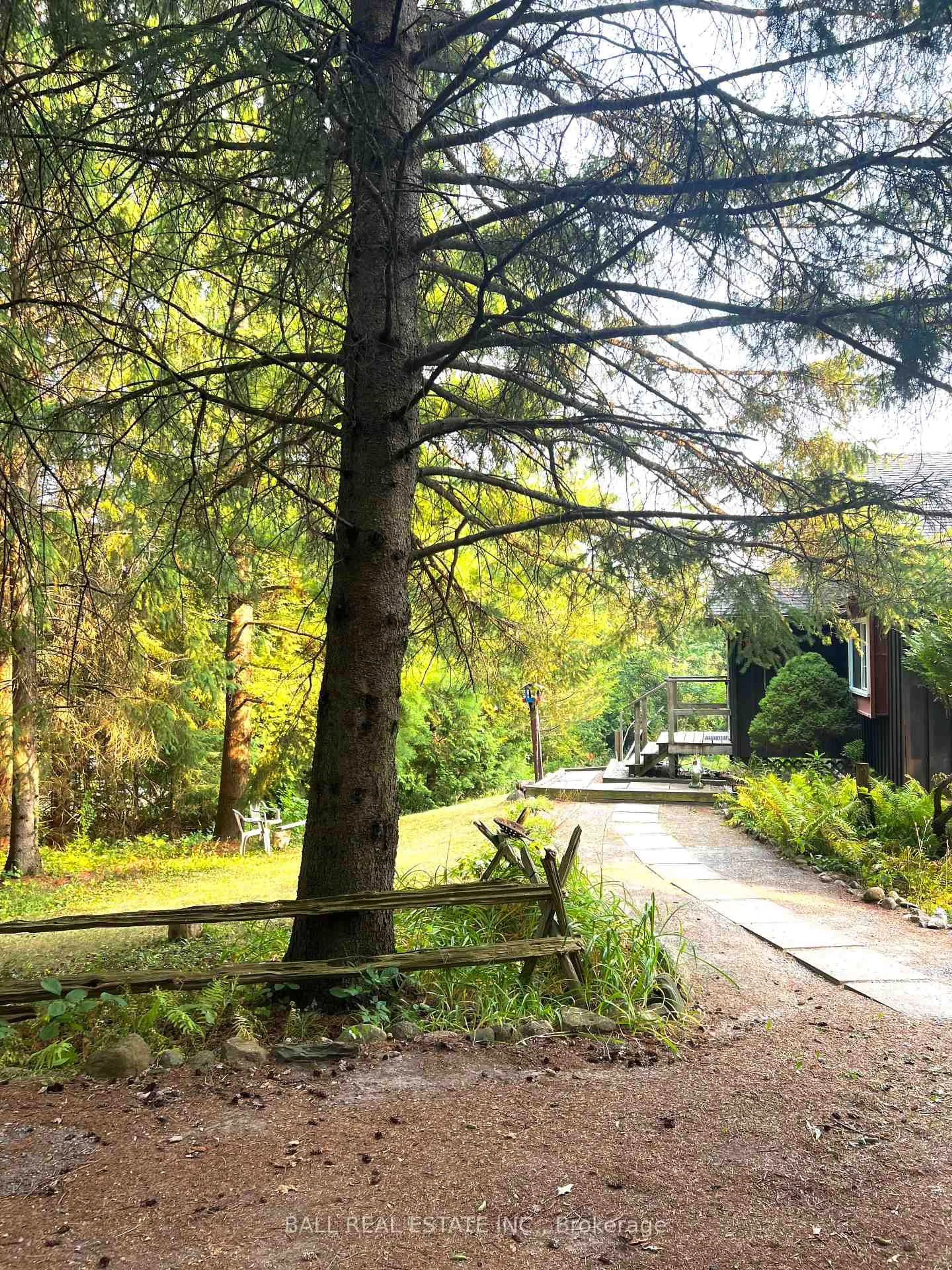 A pic from outside/outdoor area/front of a property/back of a property/a pic from drone, forest/trees view for 523 Concession 8w Rd, Trent Hills Ontario K0L 1Y0