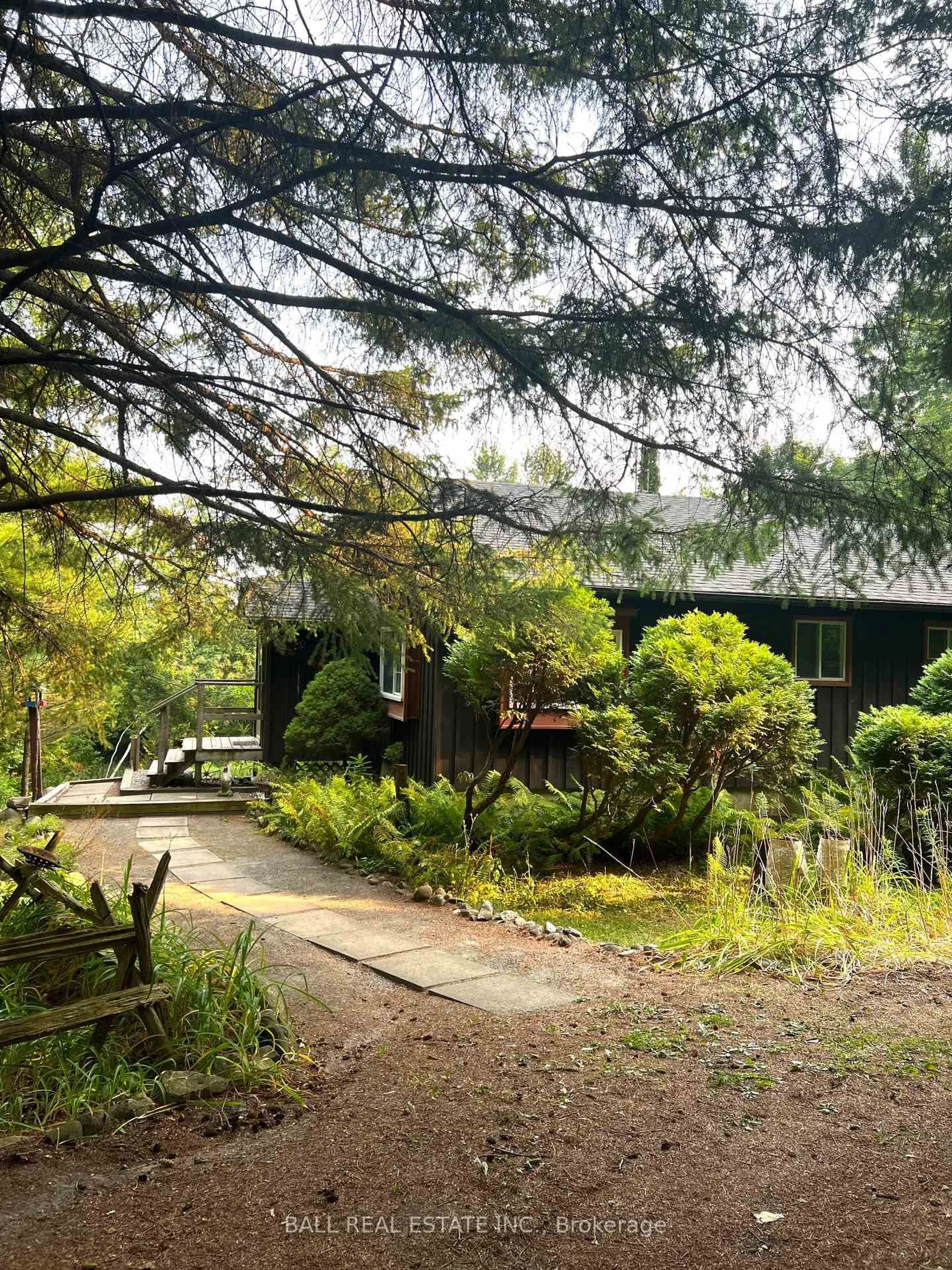 A pic from outside/outdoor area/front of a property/back of a property/a pic from drone, forest/trees view for 523 Concession 8w Rd, Trent Hills Ontario K0L 1Y0