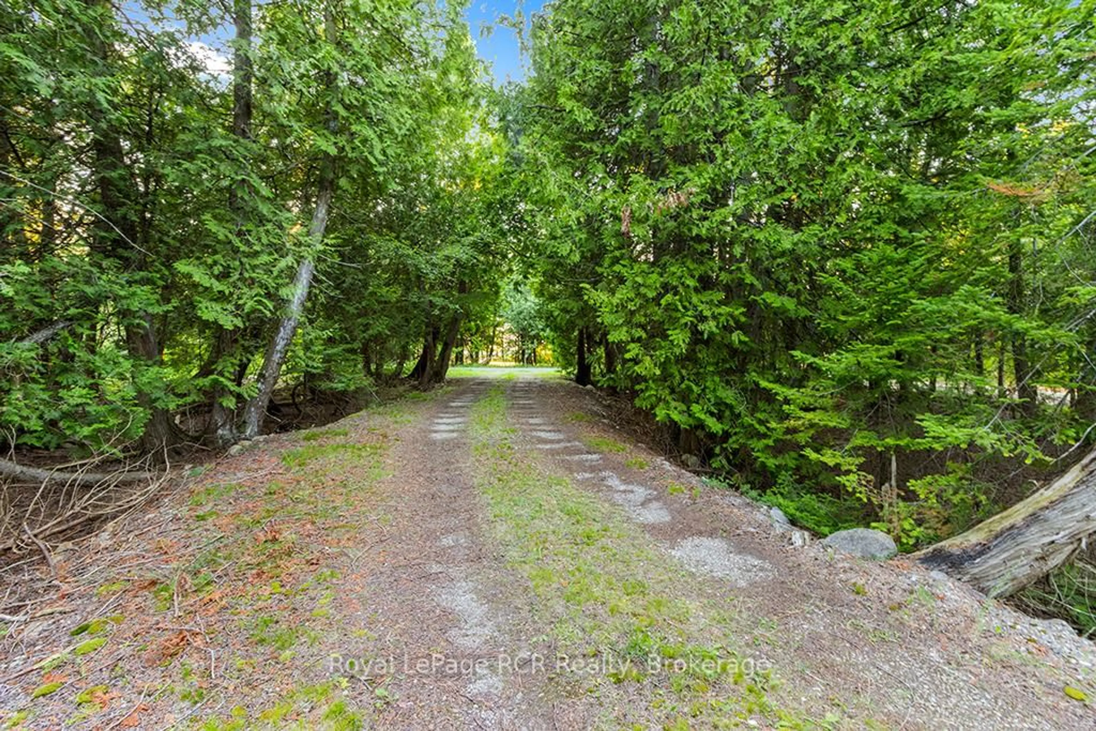 Patio, forest/trees view for 403 Eagle Rd, Northern Bruce Peninsula Ontario N0H 2R0