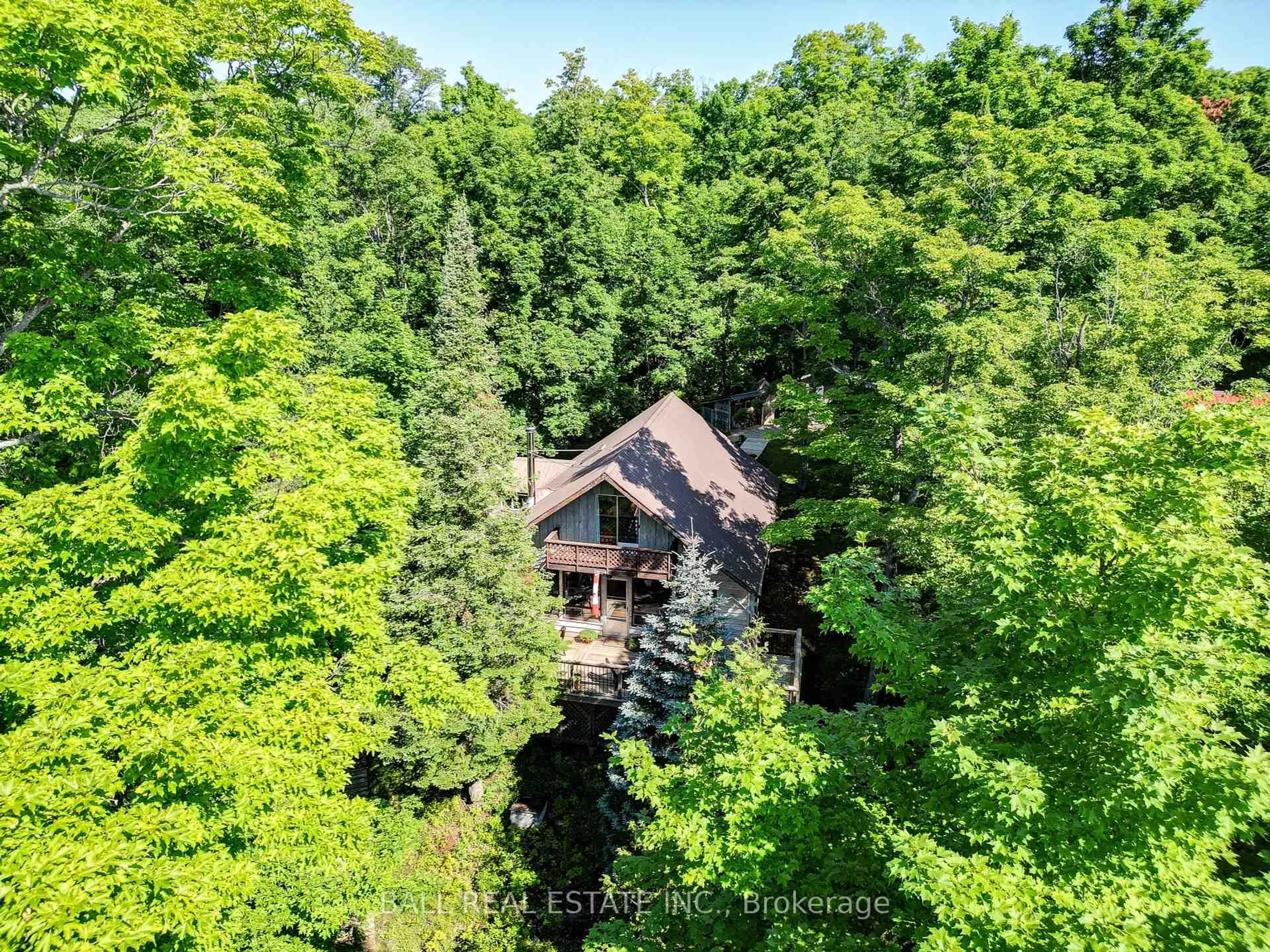 A pic from outside/outdoor area/front of a property/back of a property/a pic from drone, forest/trees view for 351 Limerick Lake Shore, Hastings Ontario K0L 1W0