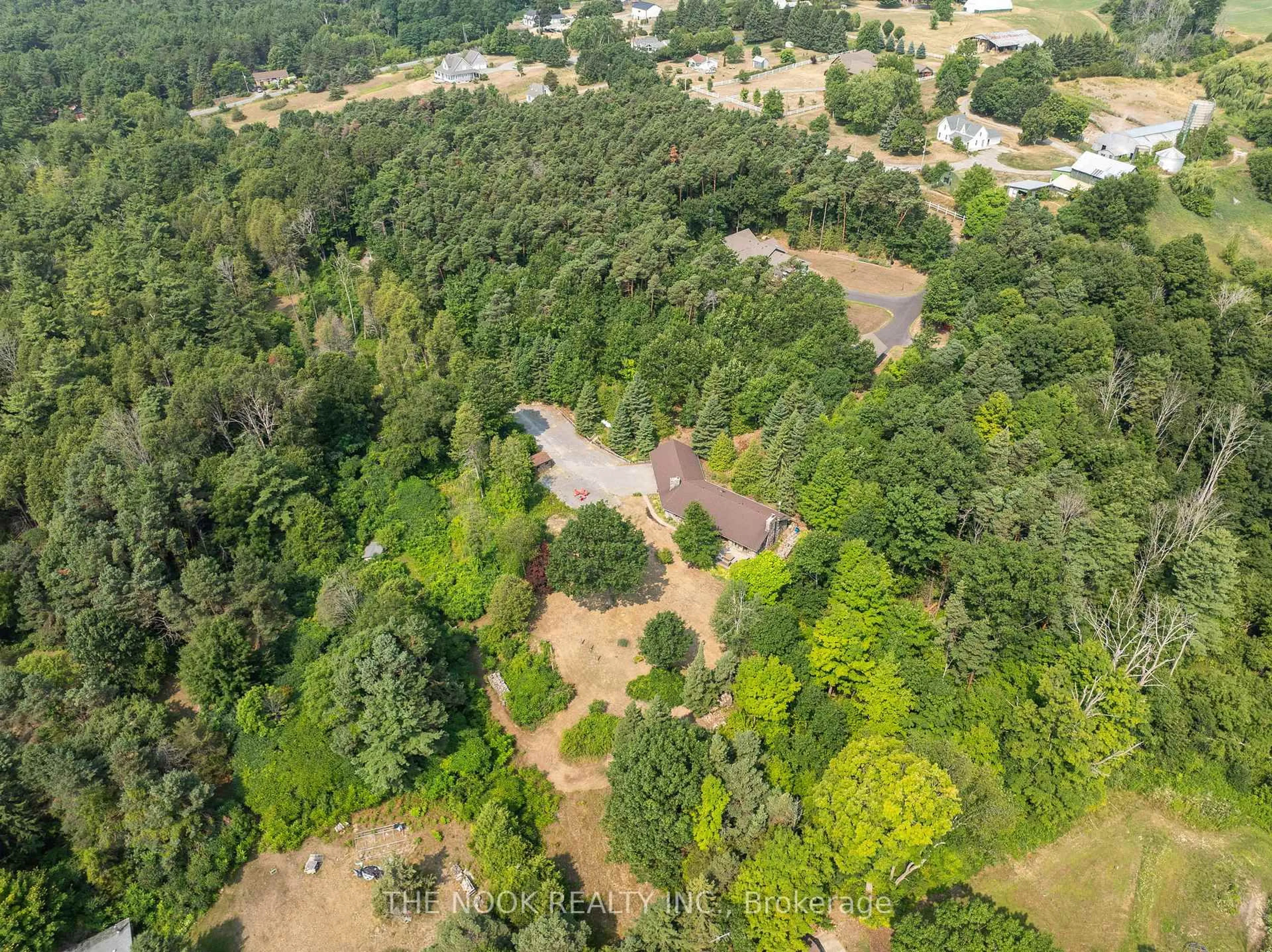 A pic from outside/outdoor area/front of a property/back of a property/a pic from drone, forest/trees view for 41 Hillview Rd, Brighton Ontario K0K 1H0