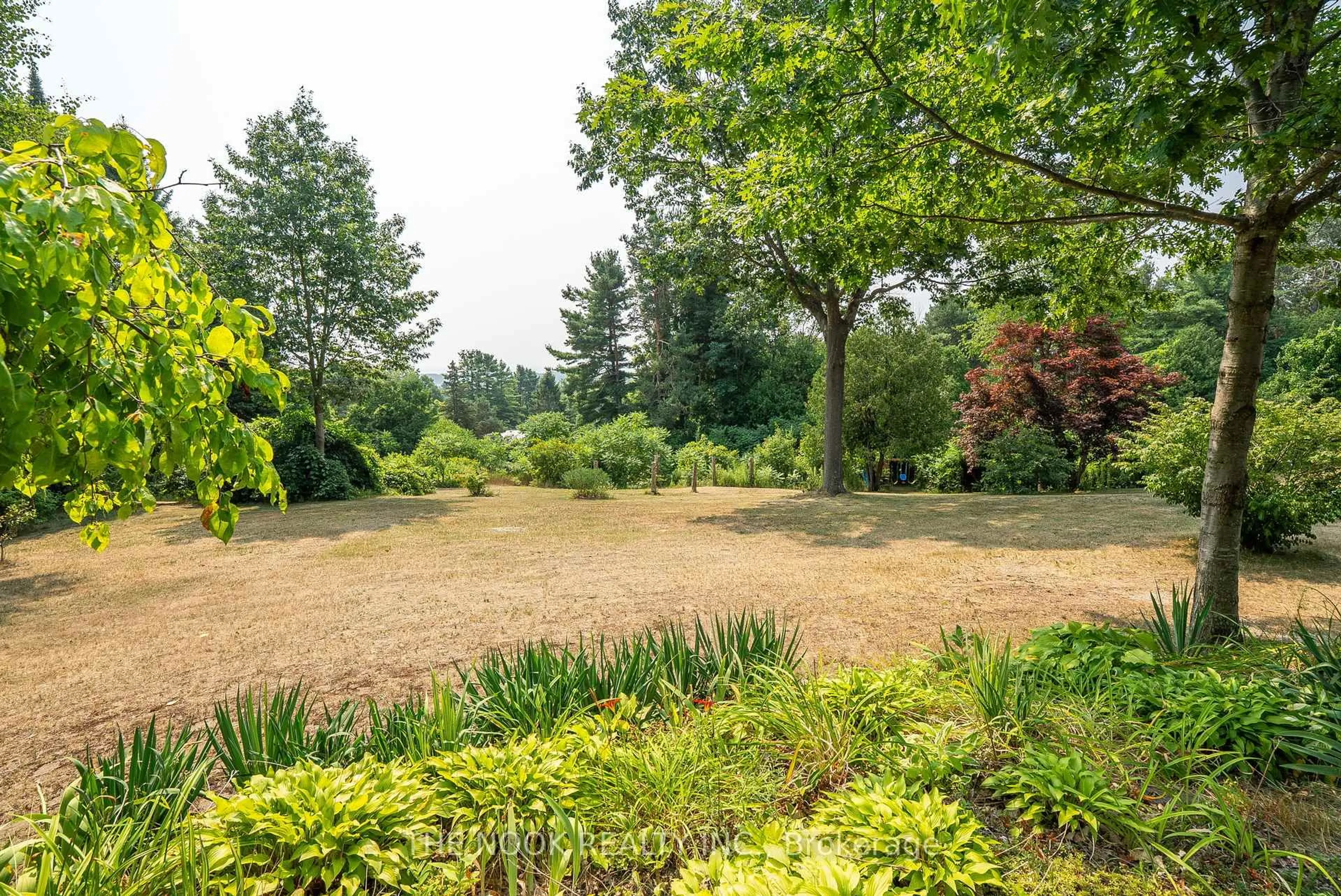 A pic from outside/outdoor area/front of a property/back of a property/a pic from drone, forest/trees view for 41 Hillview Rd, Brighton Ontario K0K 1H0