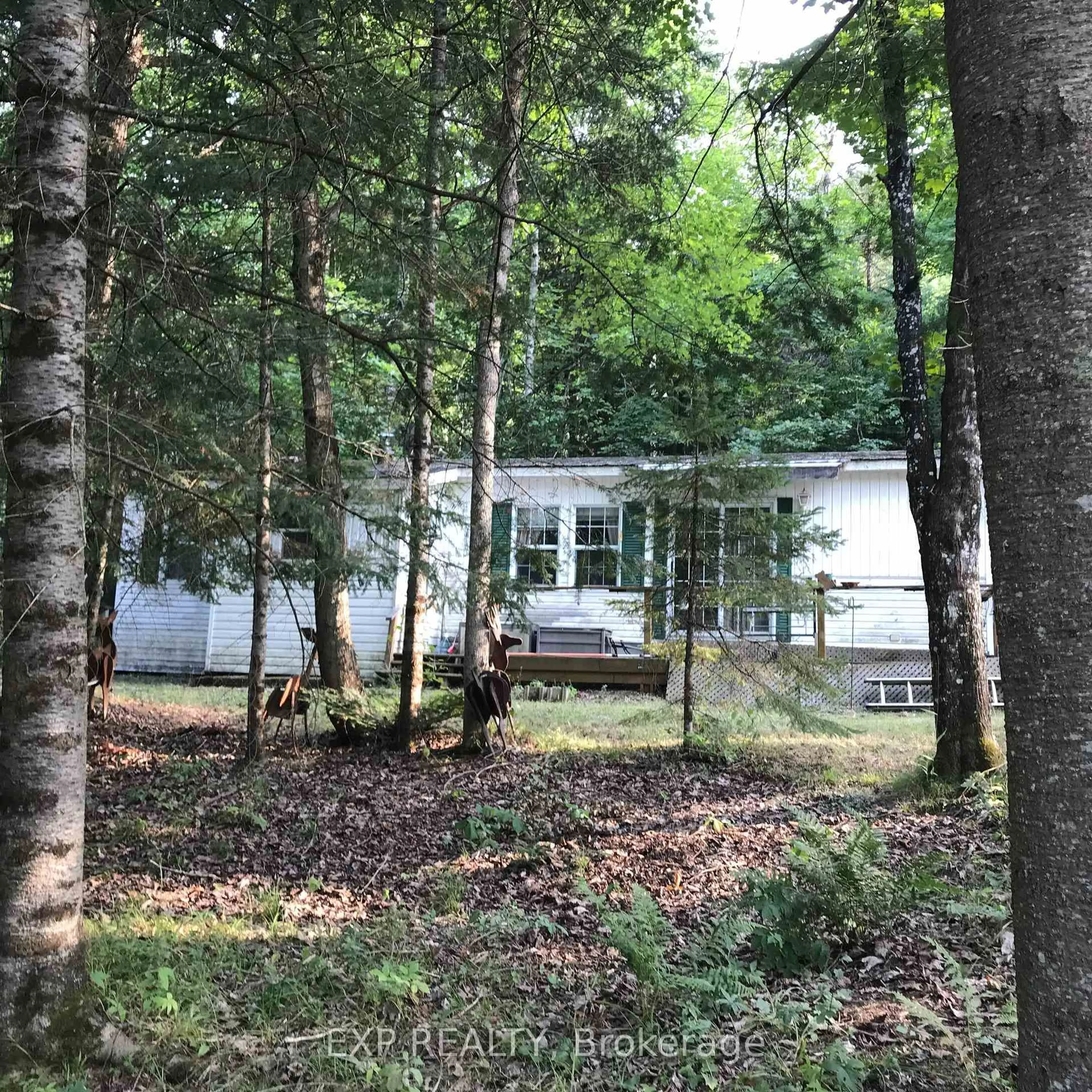 Unknown for 2186 Salerno Lake Rd, Minden Hills Ontario K0M 1X0