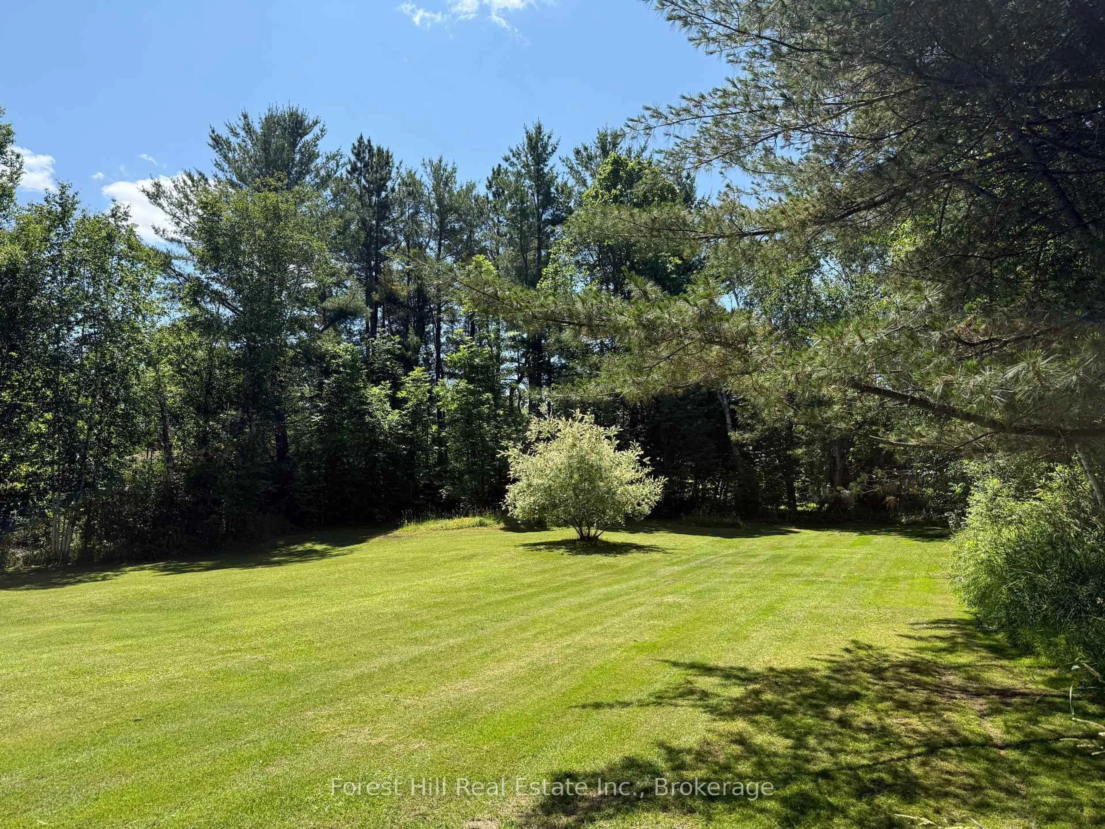 A pic from outside/outdoor area/front of a property/back of a property/a pic from drone, forest/trees view for 10709 522 Highway, Parry Sound Remote Area Ontario P0H 1A0