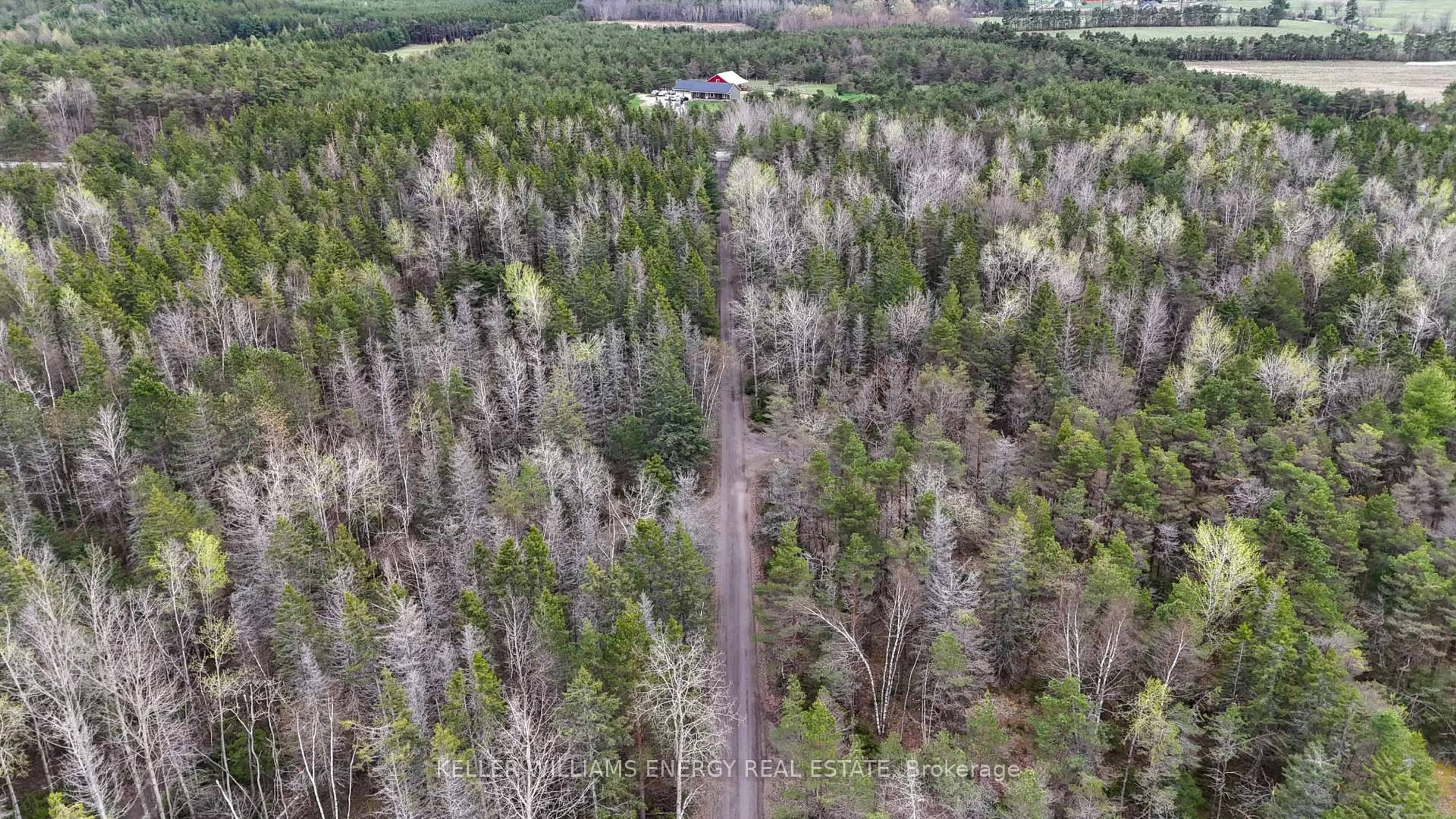 A pic from outside/outdoor area/front of a property/back of a property/a pic from drone, forest/trees view for 54 Zion Line, Cavan Monaghan Ontario L0A 1G0