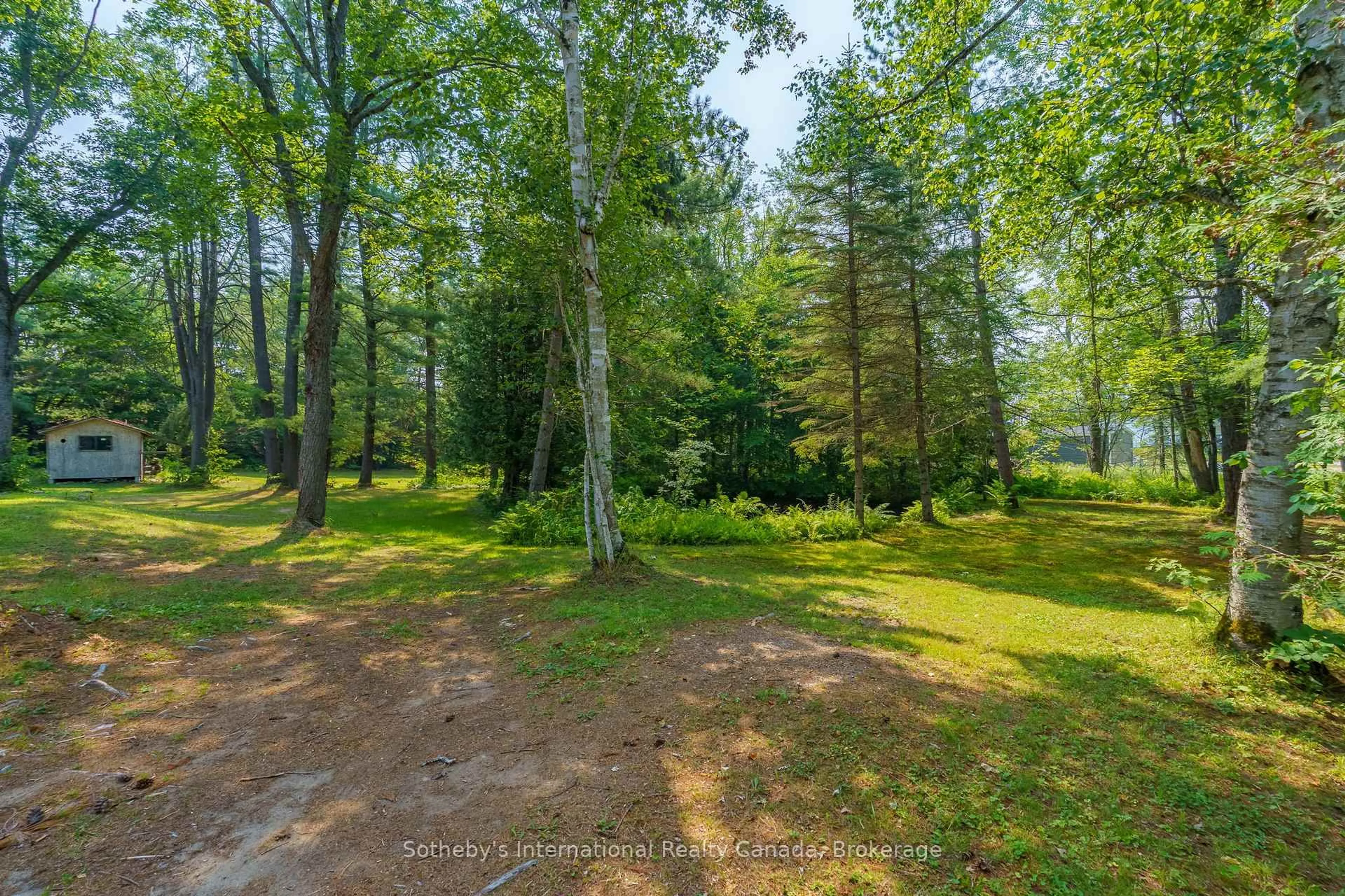 A pic from outside/outdoor area/front of a property/back of a property/a pic from drone, forest/trees view for 1114 Winhara Rd, Gravenhurst Ontario P1P 1R1