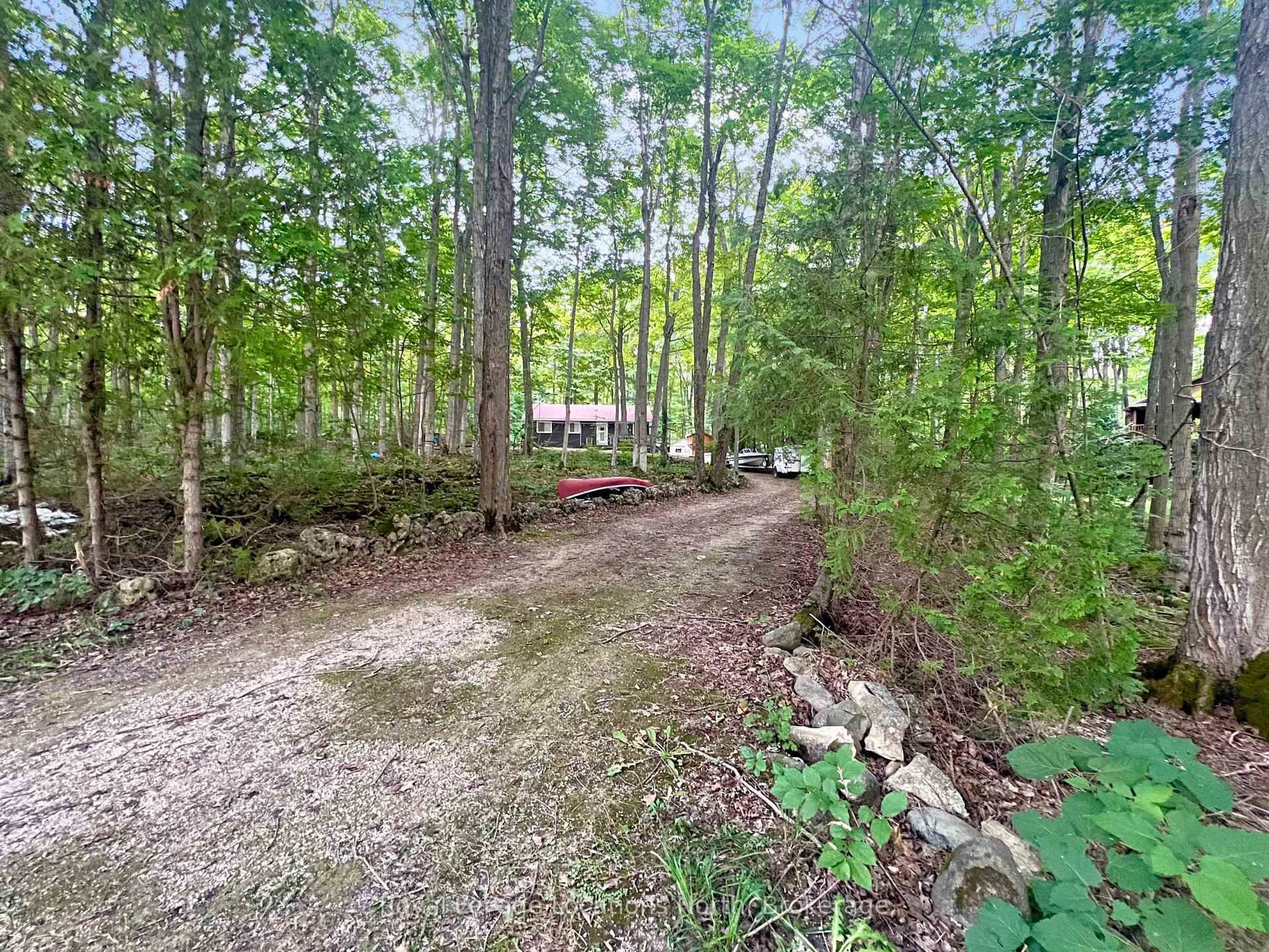 A pic from outside/outdoor area/front of a property/back of a property/a pic from drone, forest/trees view for 213 Tammy's Cove Rd, Northern Bruce Peninsula Ontario N0H 1W0