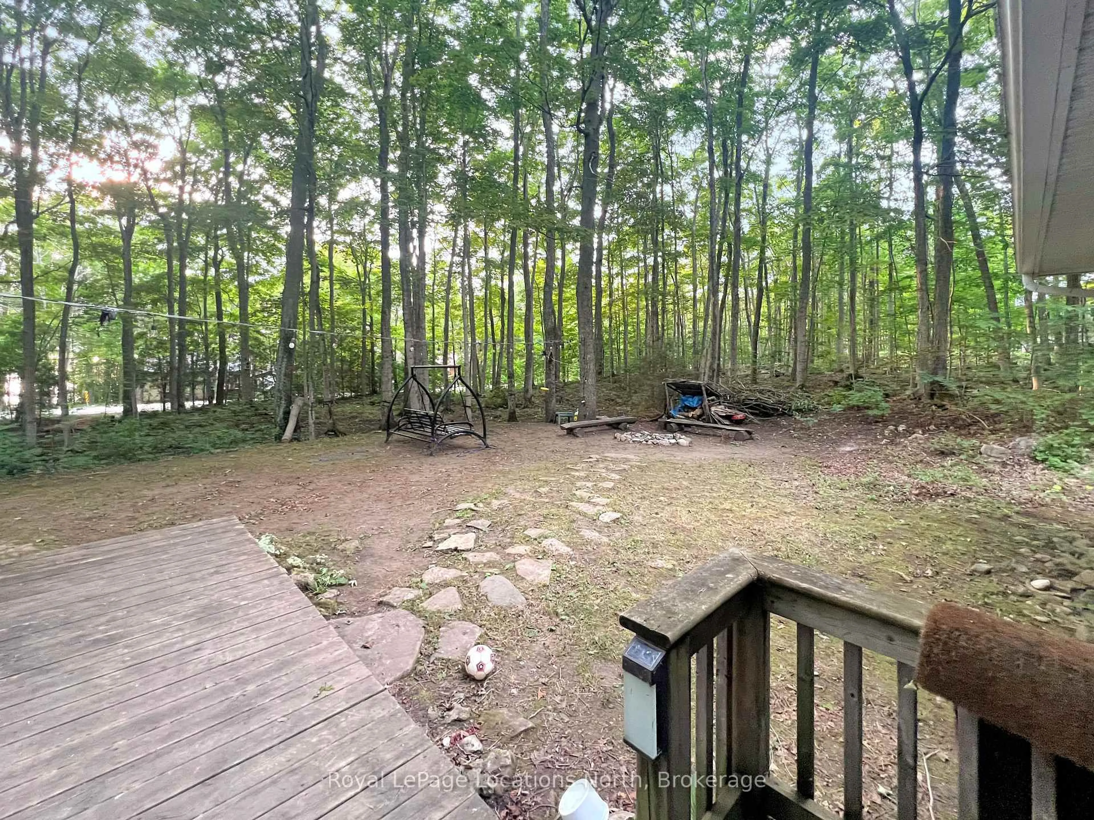 A pic from outside/outdoor area/front of a property/back of a property/a pic from drone, forest/trees view for 213 Tammy's Cove Rd, Northern Bruce Peninsula Ontario N0H 1W0