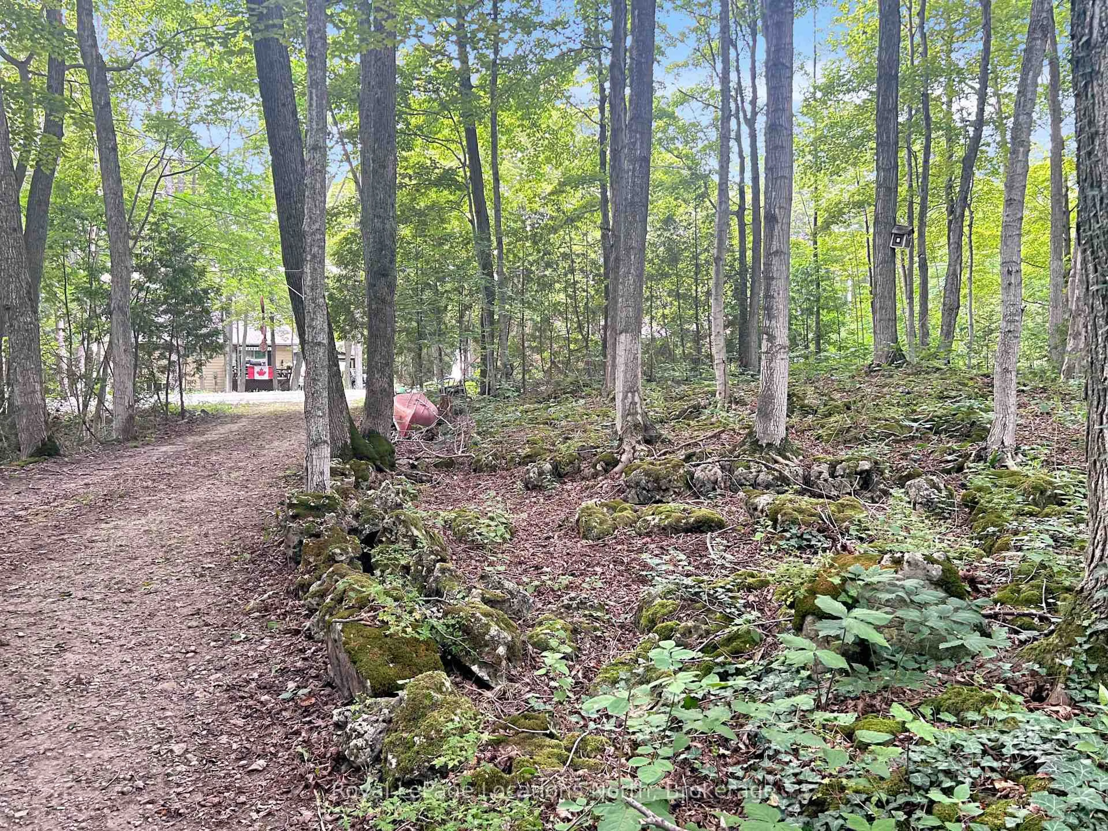 Blurry image for 213 Tammy's Cove Rd, Northern Bruce Peninsula Ontario N0H 1W0