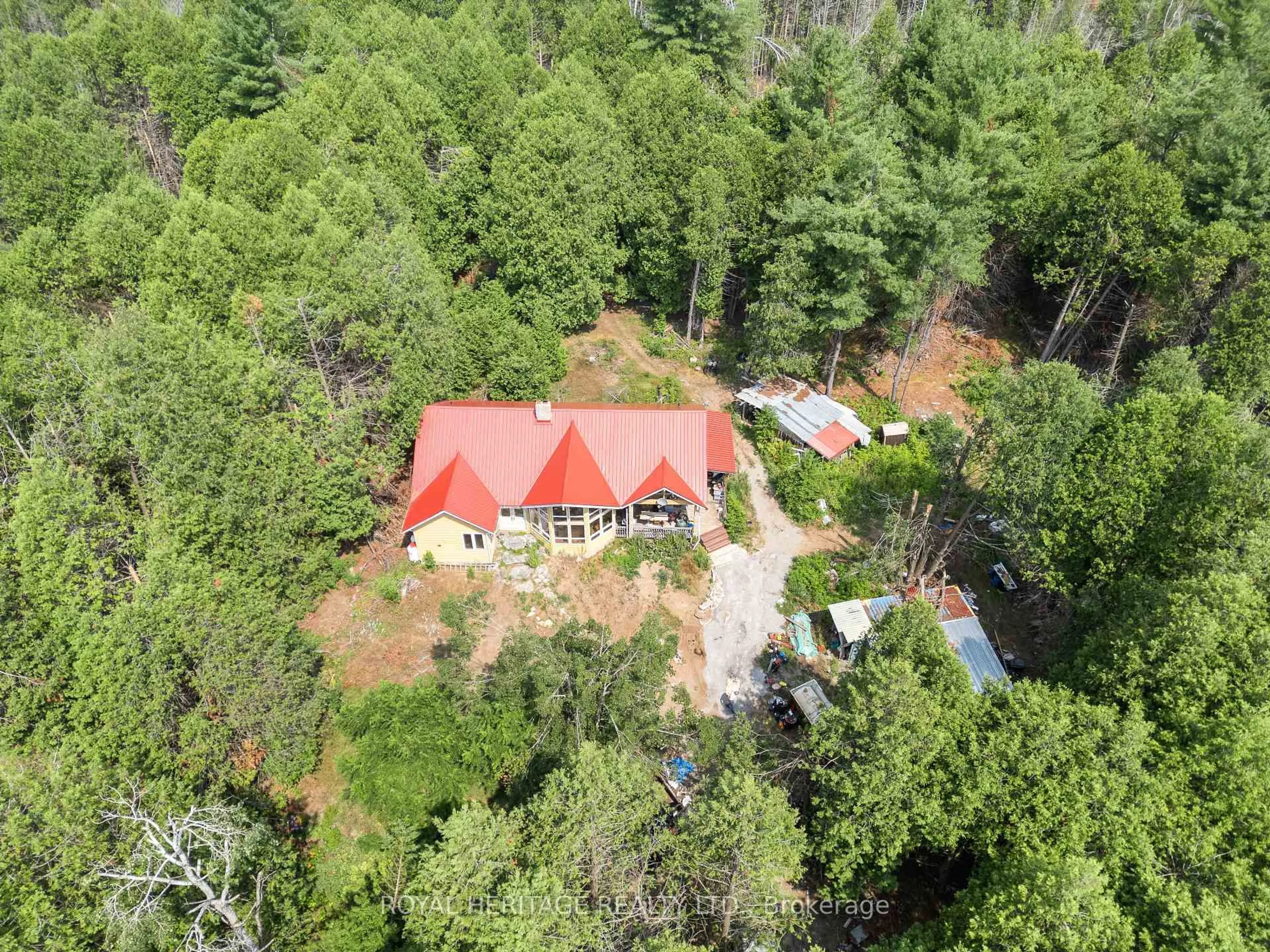 A pic from outside/outdoor area/front of a property/back of a property/a pic from drone, forest/trees view for 201 Dutch Line Rd, Trent Lakes Ontario K0M 2A0