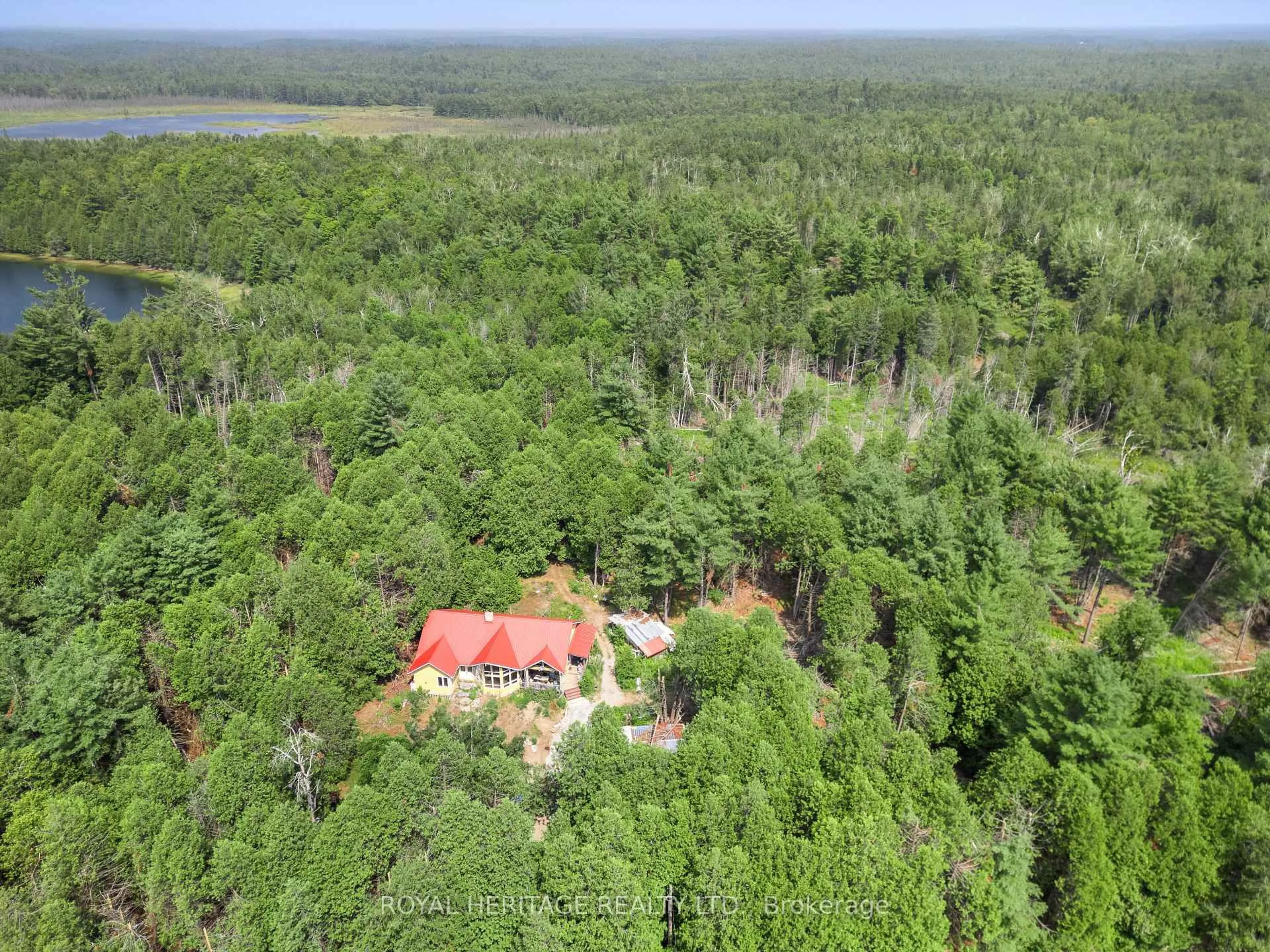 A pic from outside/outdoor area/front of a property/back of a property/a pic from drone, forest/trees view for 201 Dutch Line Rd, Trent Lakes Ontario K0M 2A0
