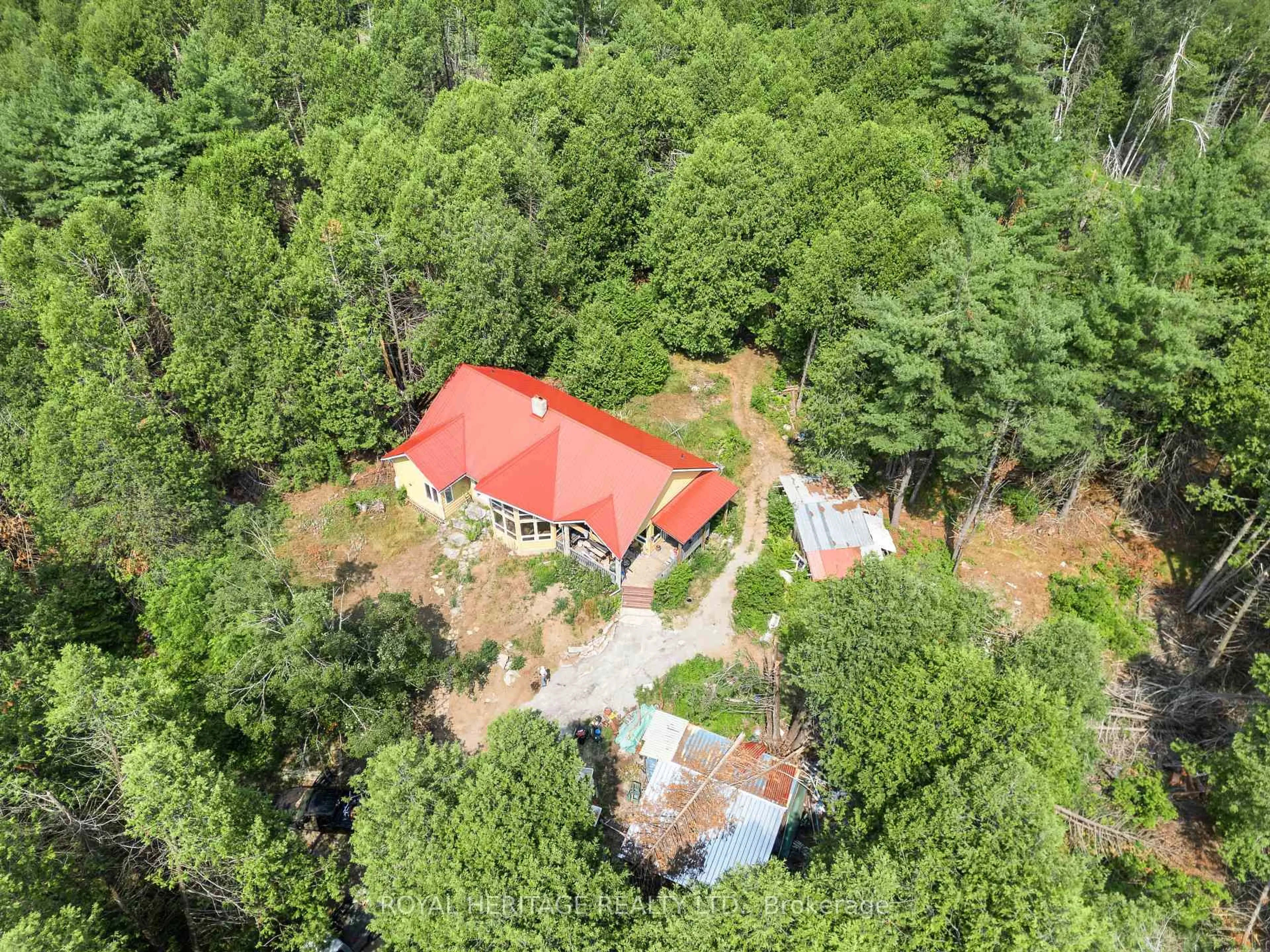 A pic from outside/outdoor area/front of a property/back of a property/a pic from drone, forest/trees view for 201 Dutch Line Rd, Trent Lakes Ontario K0M 2A0