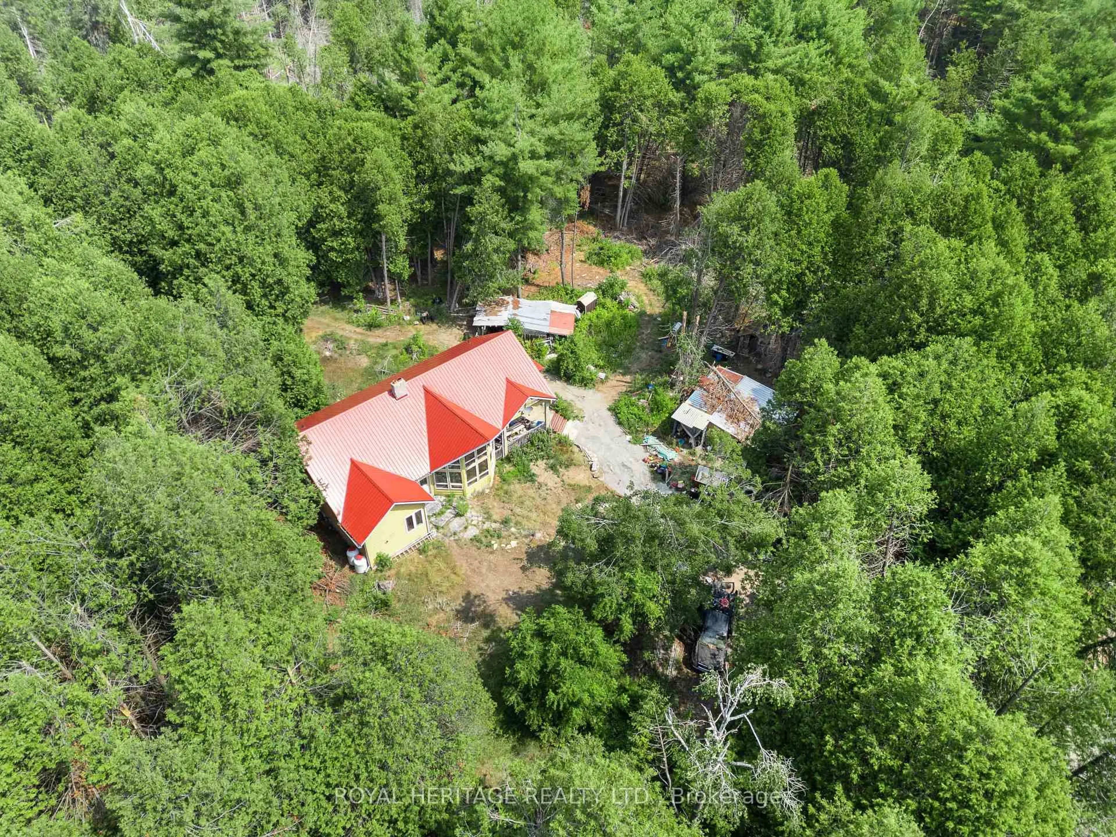 A pic from outside/outdoor area/front of a property/back of a property/a pic from drone, forest/trees view for 201 Dutch Line Rd, Trent Lakes Ontario K0M 2A0