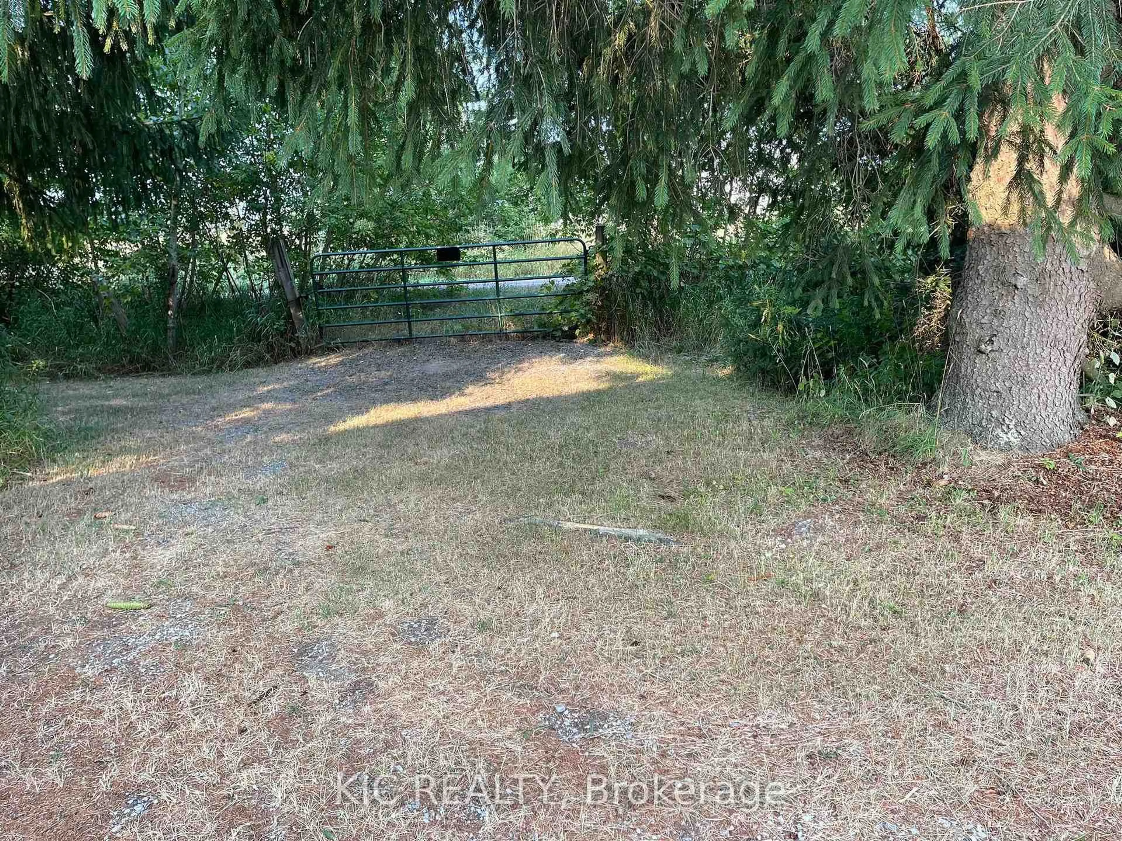 A pic from outside/outdoor area/front of a property/back of a property/a pic from drone, forest/trees view for 2183 ASPHODEL 5 Line, Asphodel-Norwood Ontario K0L 2V0