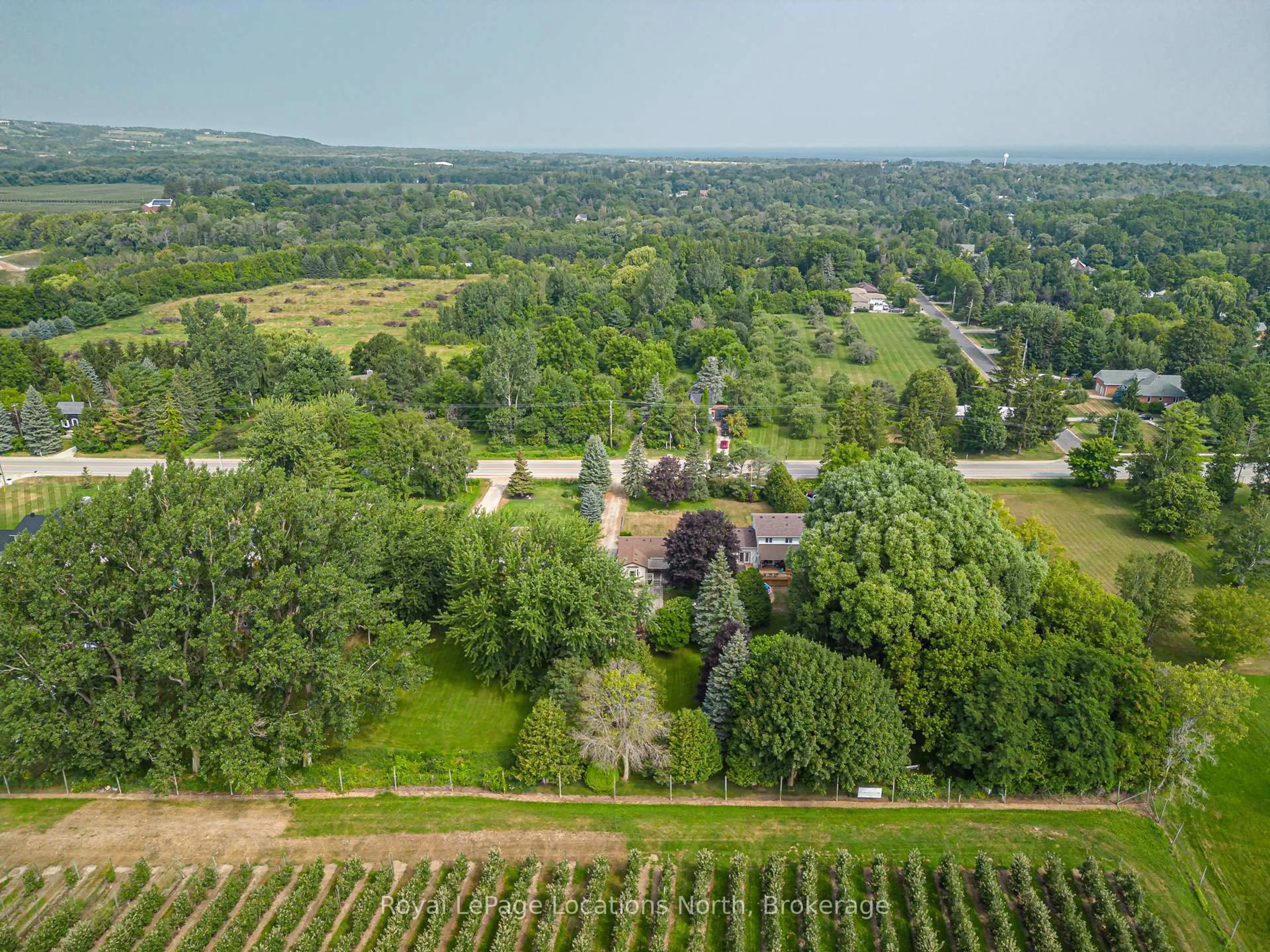 A pic from outside/outdoor area/front of a property/back of a property/a pic from drone, unknown for 132 Matilda St, Blue Mountains Ontario N0H 1J0