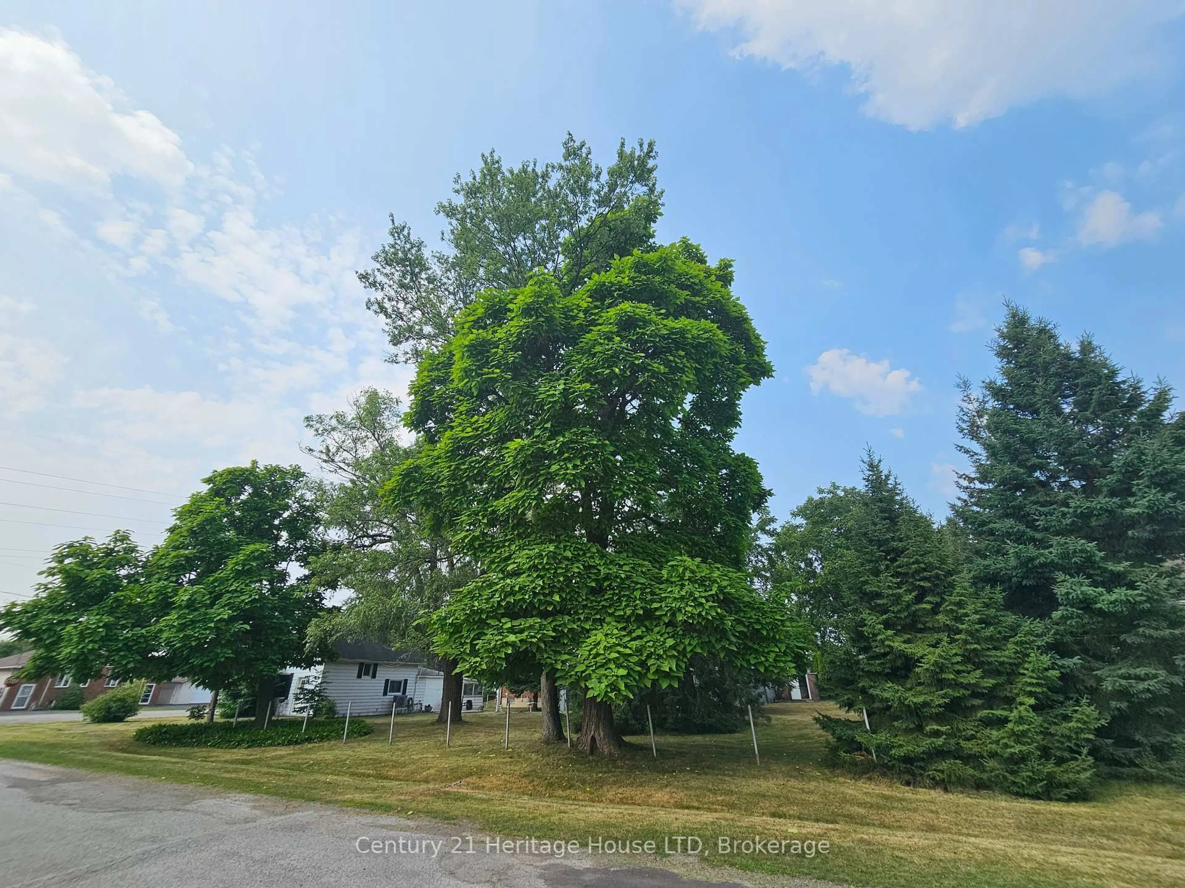 A pic from outside/outdoor area/front of a property/back of a property/a pic from drone, forest/trees view for 1548 Henderson St, Thorold Ontario L0S 1A0