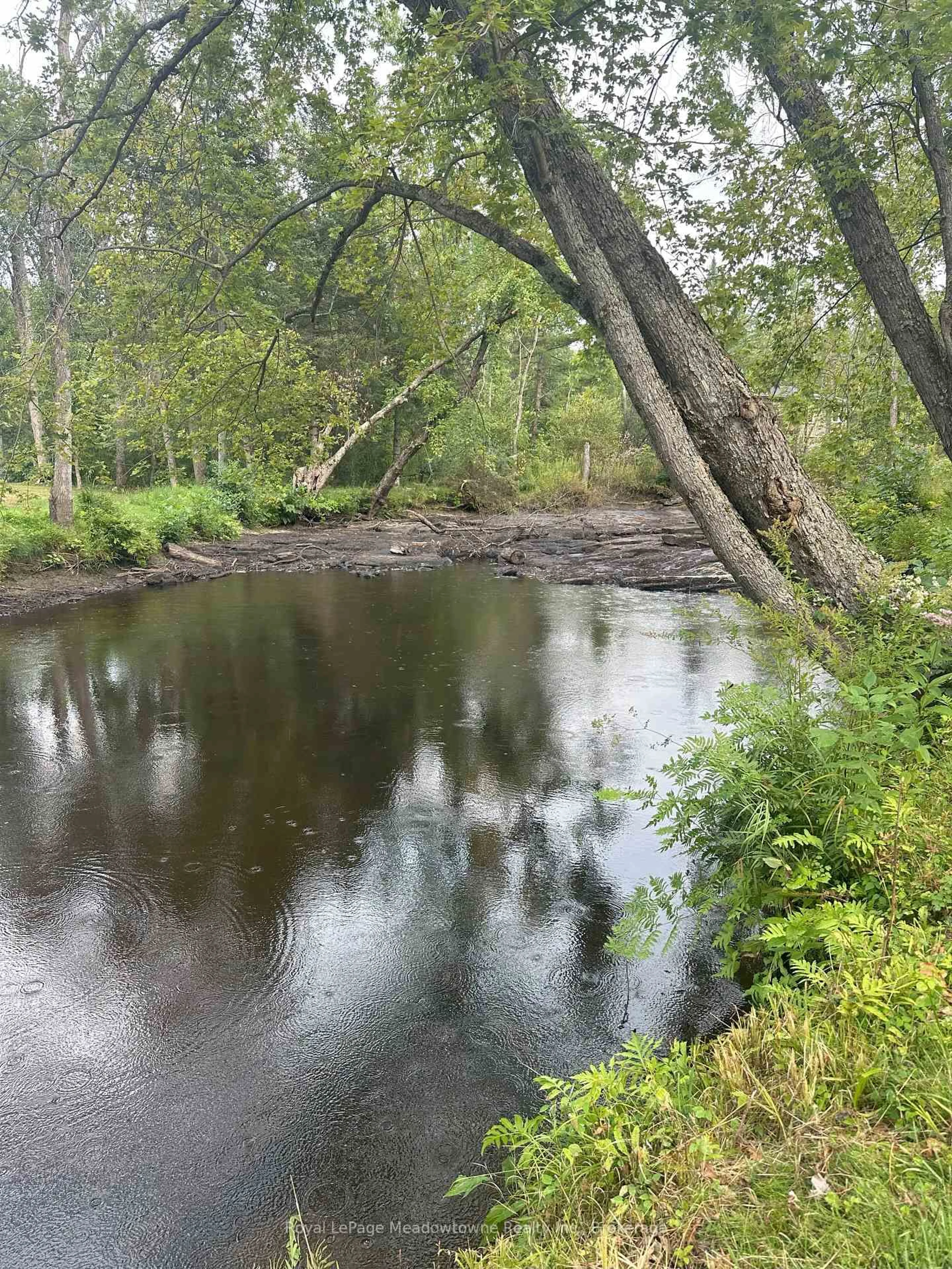 Blurry image for 67 Kennedy Dr, Trent Lakes Ontario K0M 1A0