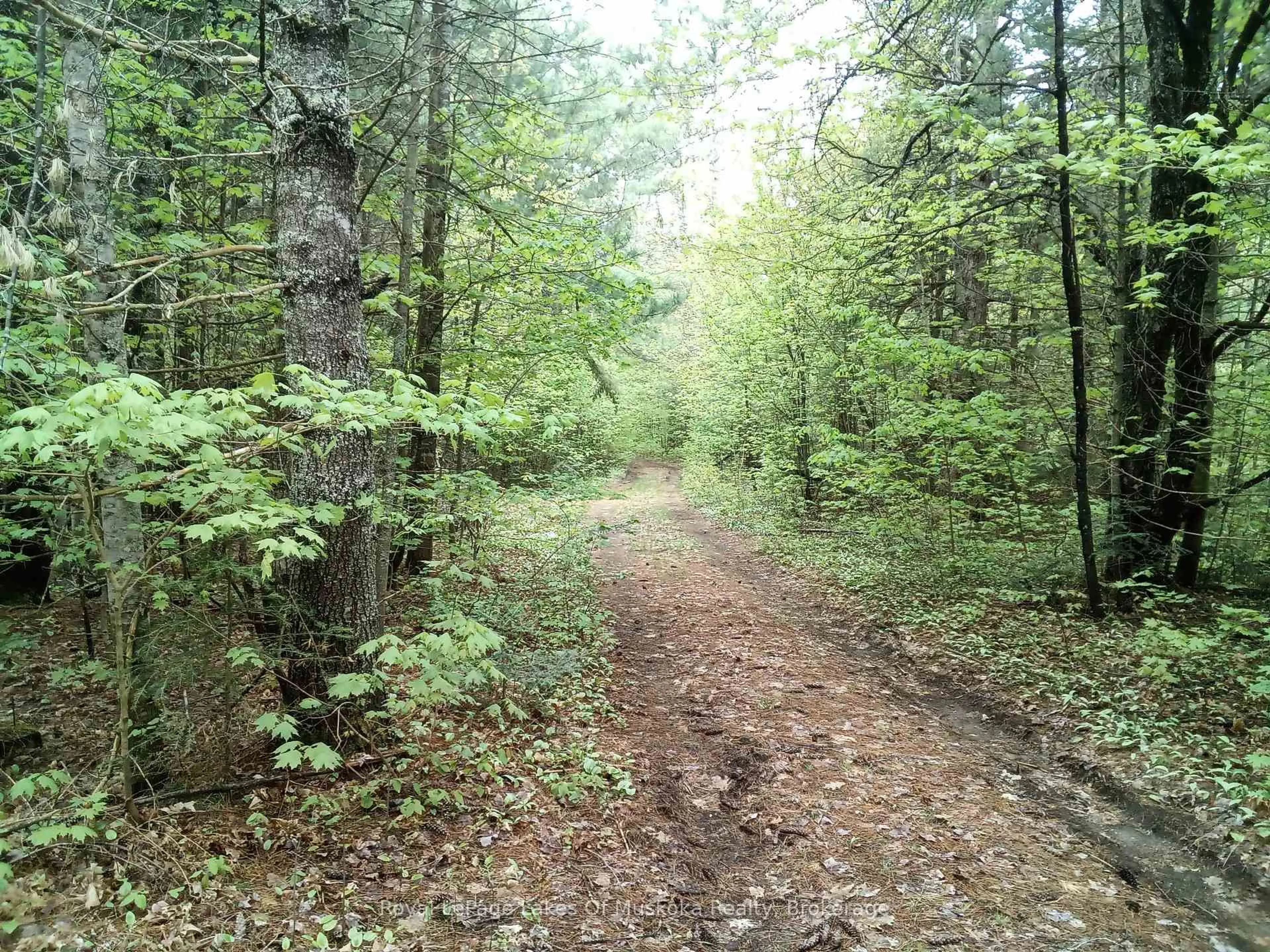 Blurry image for 1590 Yearley Rd, Huntsville Ontario P0B 1M0