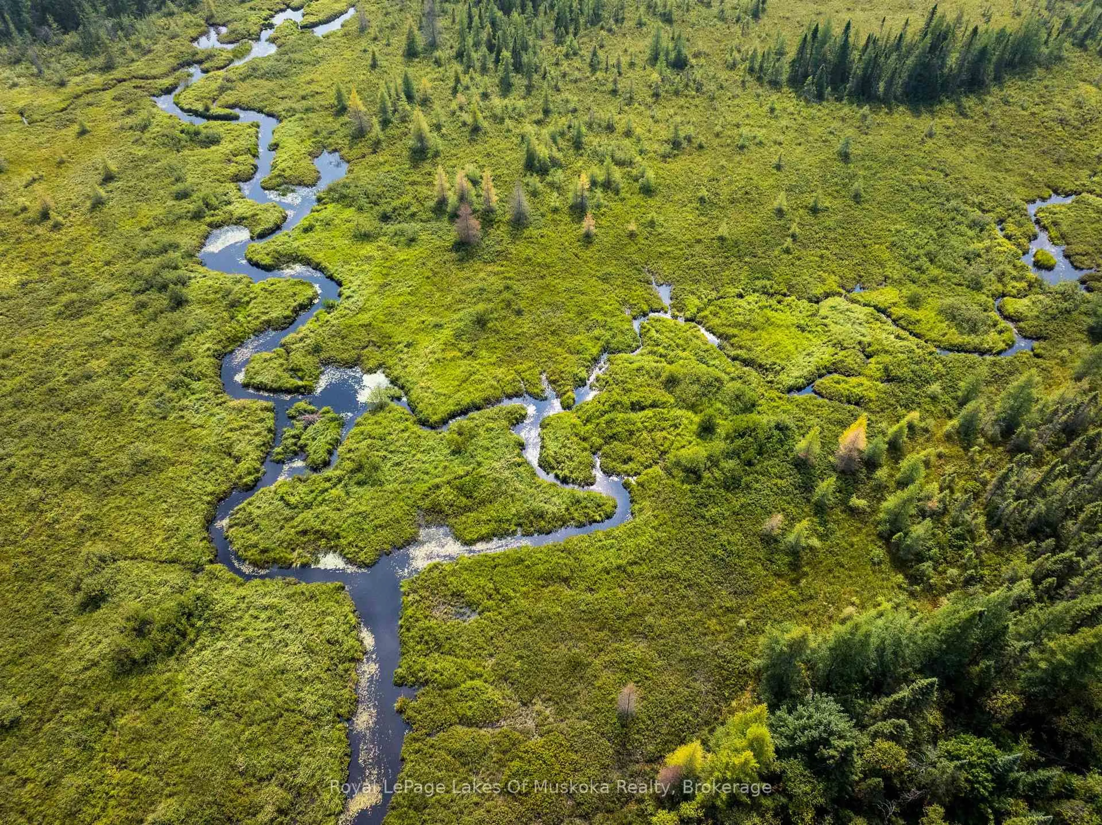 A pic from outside/outdoor area/front of a property/back of a property/a pic from drone, forest/trees view for 1590 Yearley Rd, Huntsville Ontario P0B 1M0