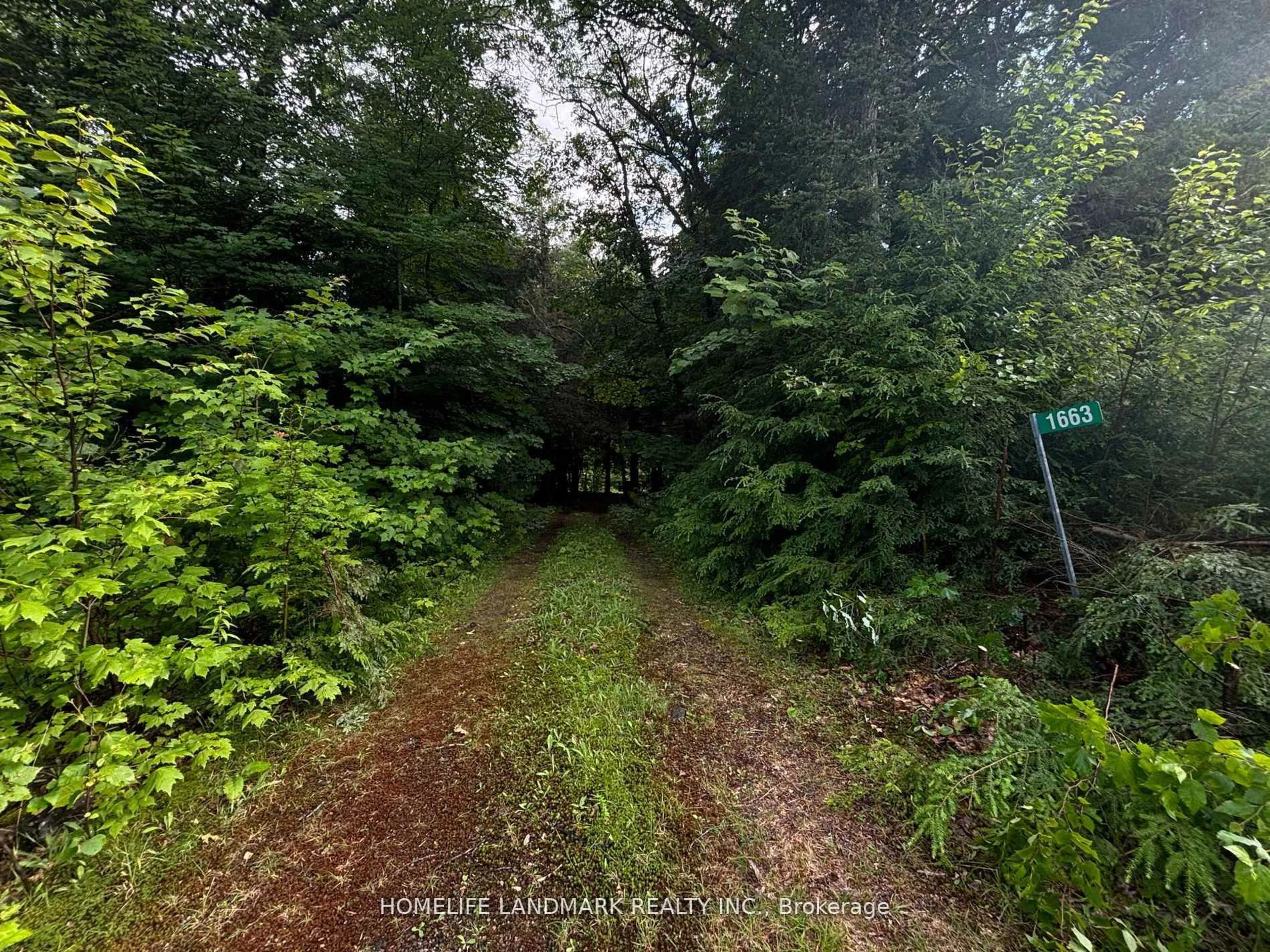 A pic from outside/outdoor area/front of a property/back of a property/a pic from drone, forest/trees view for 1663 Mississaugi Bay Rd, Huron Shores Ontario P0R 1H0