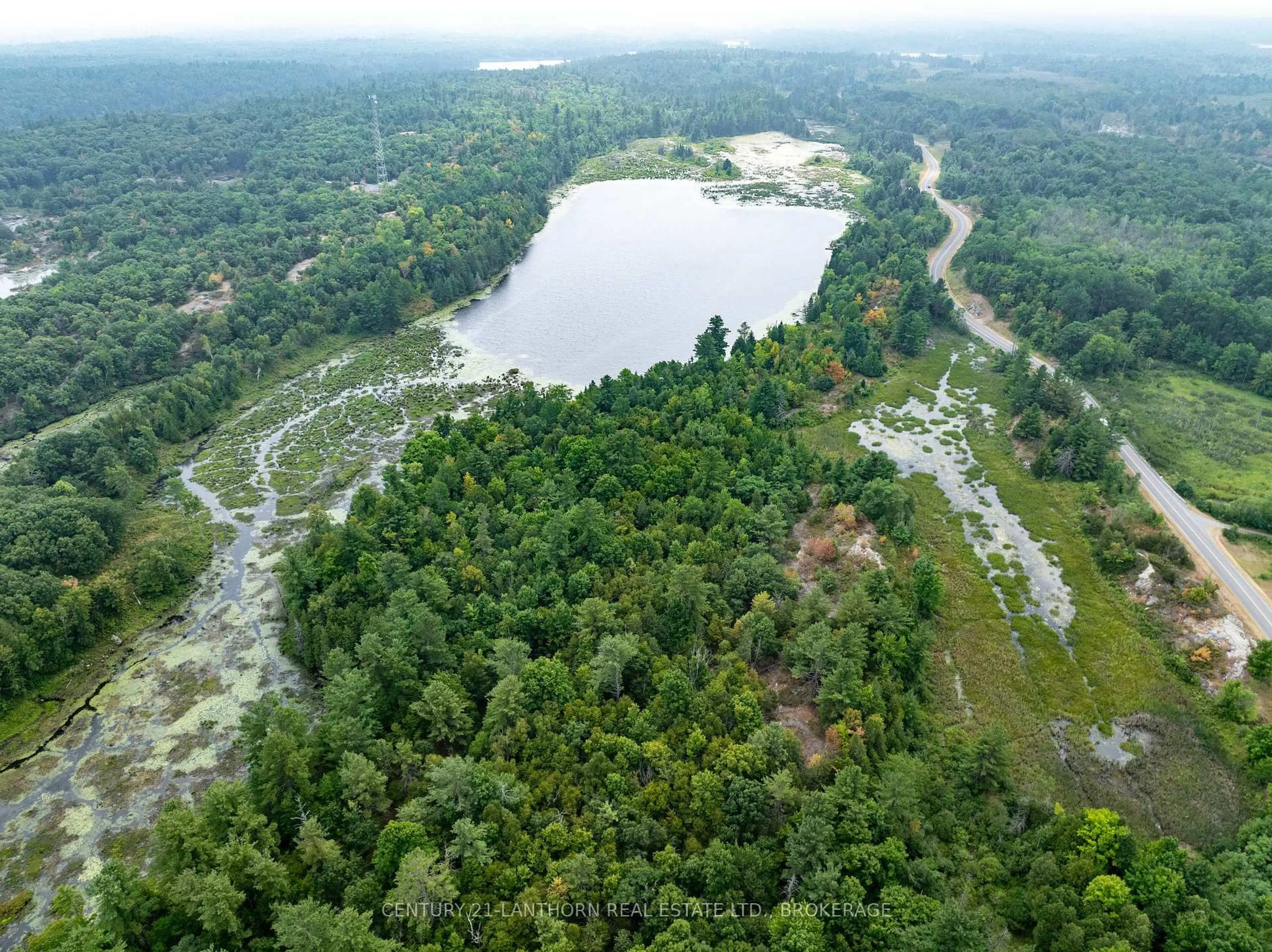 A pic from outside/outdoor area/front of a property/back of a property/a pic from drone, forest/trees view for 2905 County Rd 15 Rd, Tamworth Ontario K0K 3G0